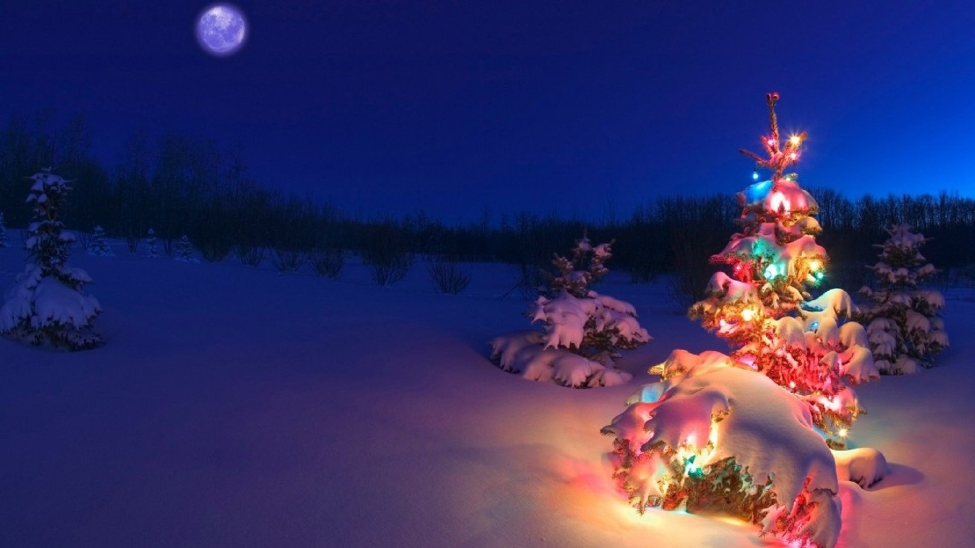 Collection Of Christmas Tree HD Wallpaper [1920x1080]