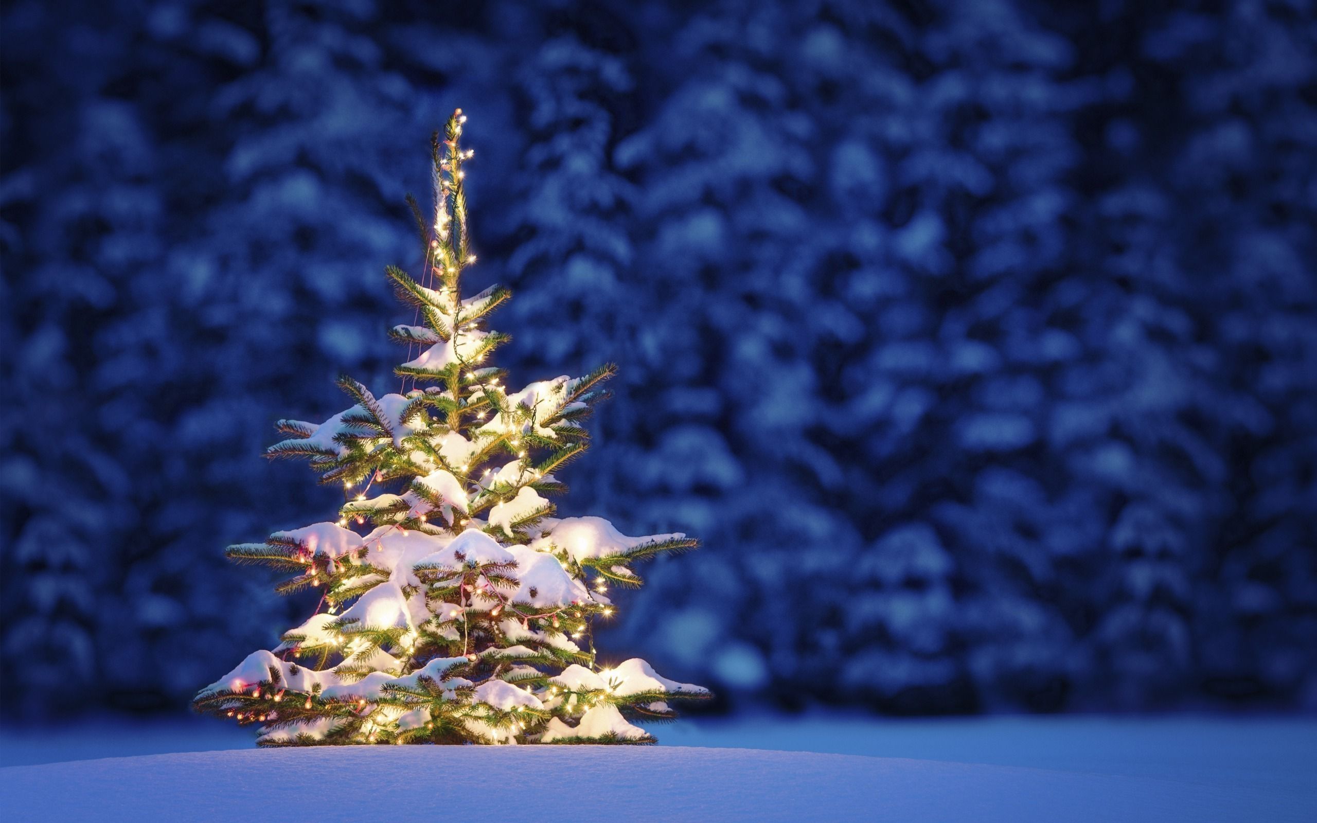 Snowy Christmas Tree Wallpaper