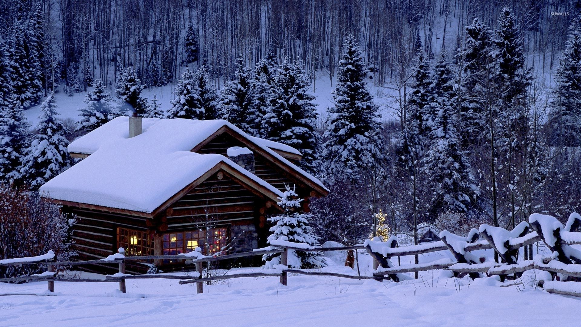 Christmas night in the forest wallpaper wallpaper