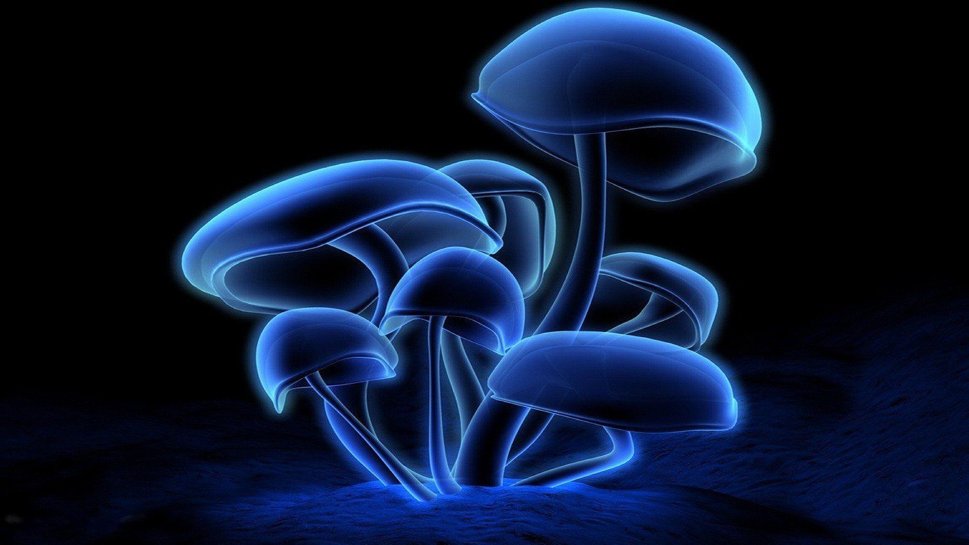 Neon Mushroom Wallpaperwallpaperafari.com
