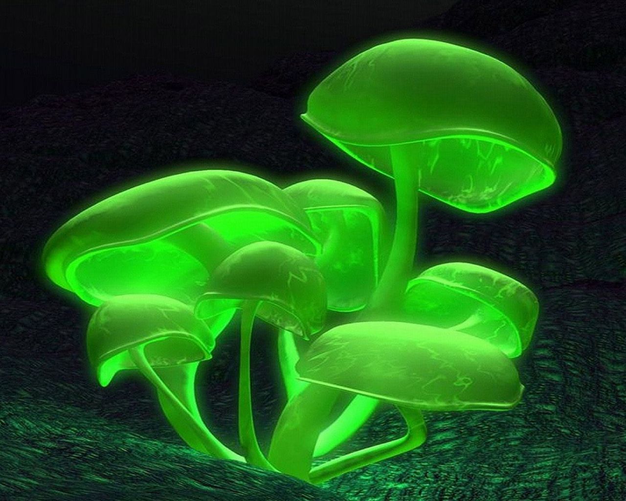 Free download 3D Neon mushrooms Wallpaper monster energy [1920x1080] for your Desktop, Mobile & Tablet. Explore Mushrooms Wallpaper. Mushrooms Wallpaper, Mushrooms Wallpaper, Mario Mushrooms Wallpaper