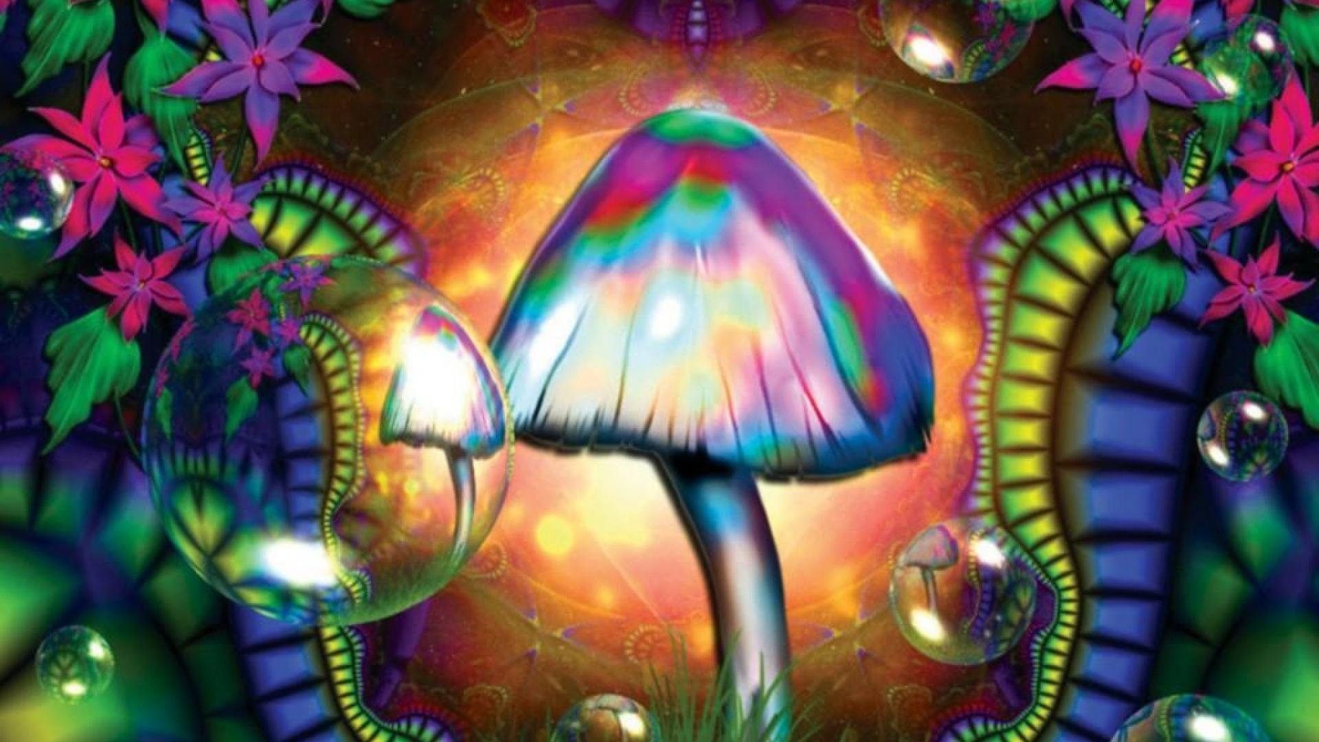 Mushrooms Screensaver