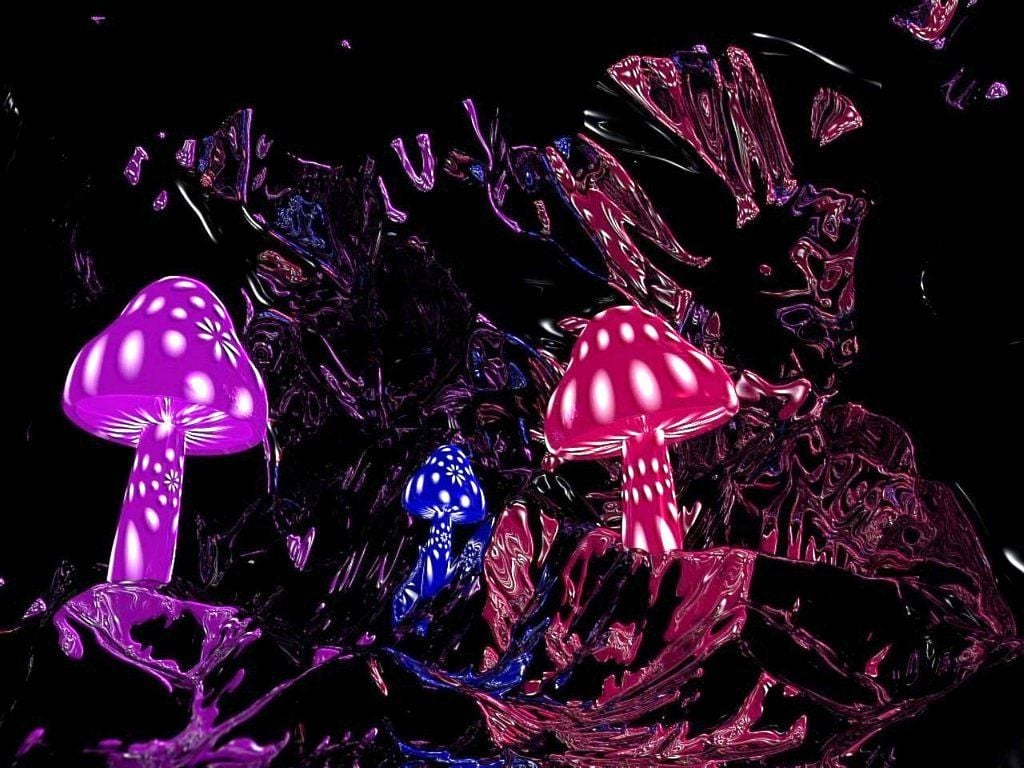 HD neon mushroom wallpapers  Peakpx