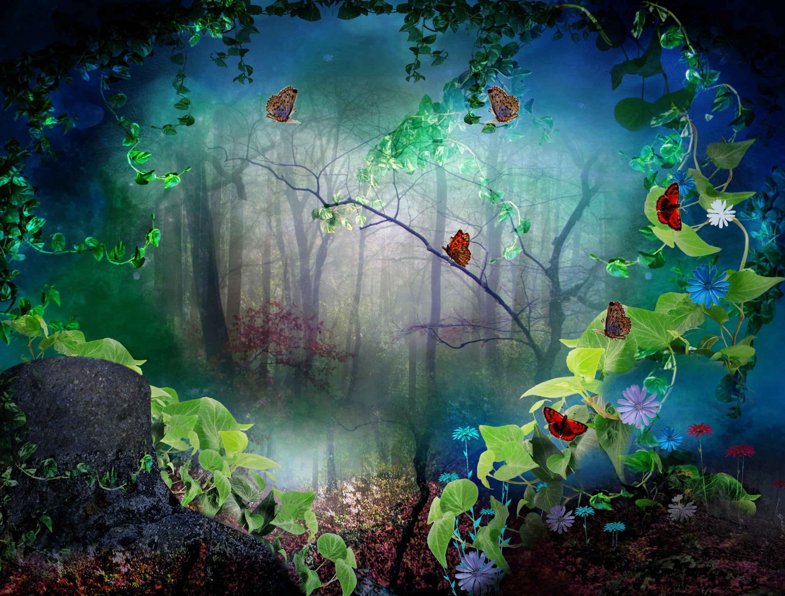Digital art 3D phantasmagoria forest trees butterfly wallpaperx1900. Butterfly wallpaper, Gothic image, Art