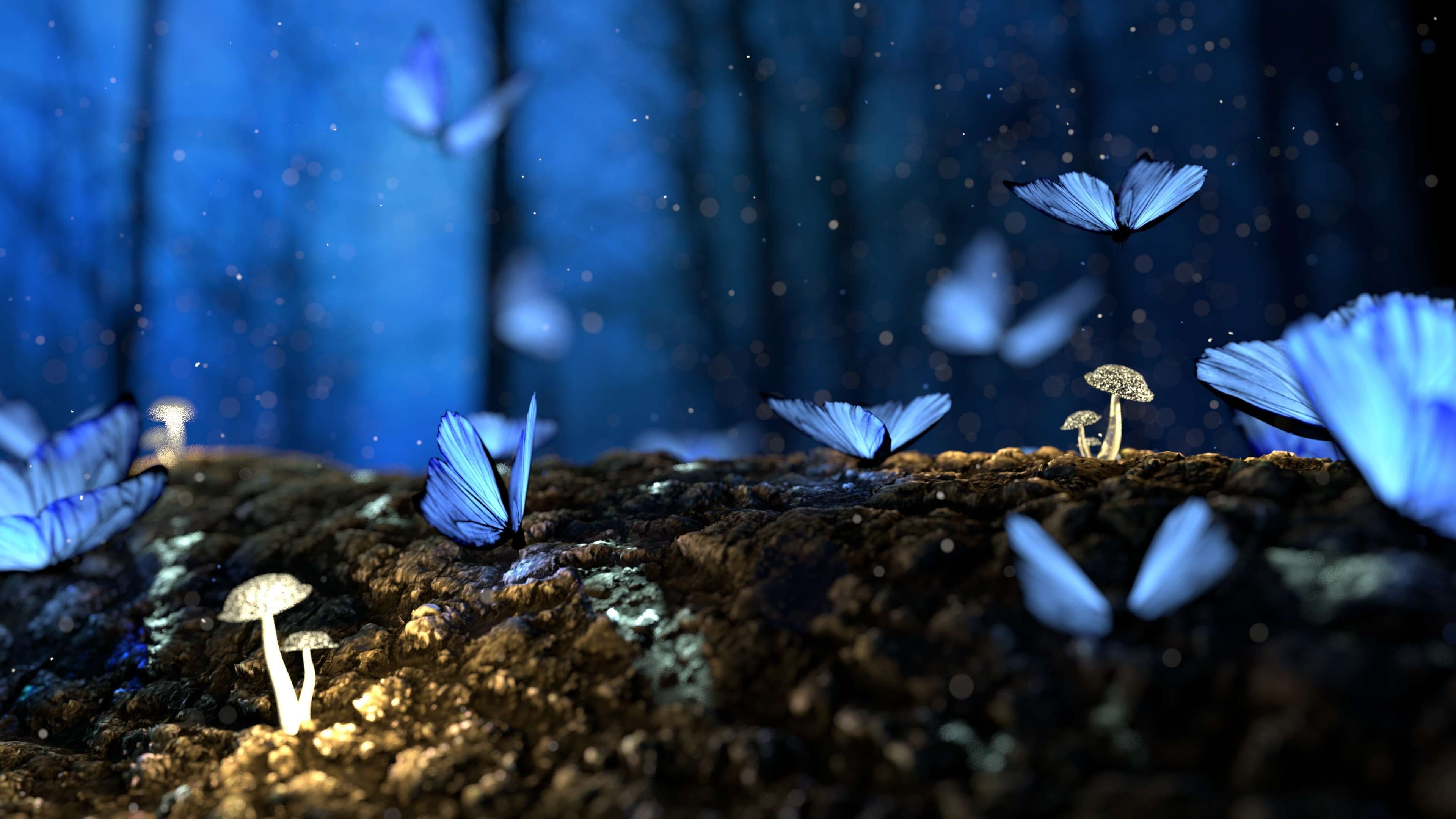 beautiful #blur #bright #butterfly #color #colorful #colourful #delicate #fantasy #forest #garden #insect #landscape #light. Witch garden, Blue butterfly, Nature