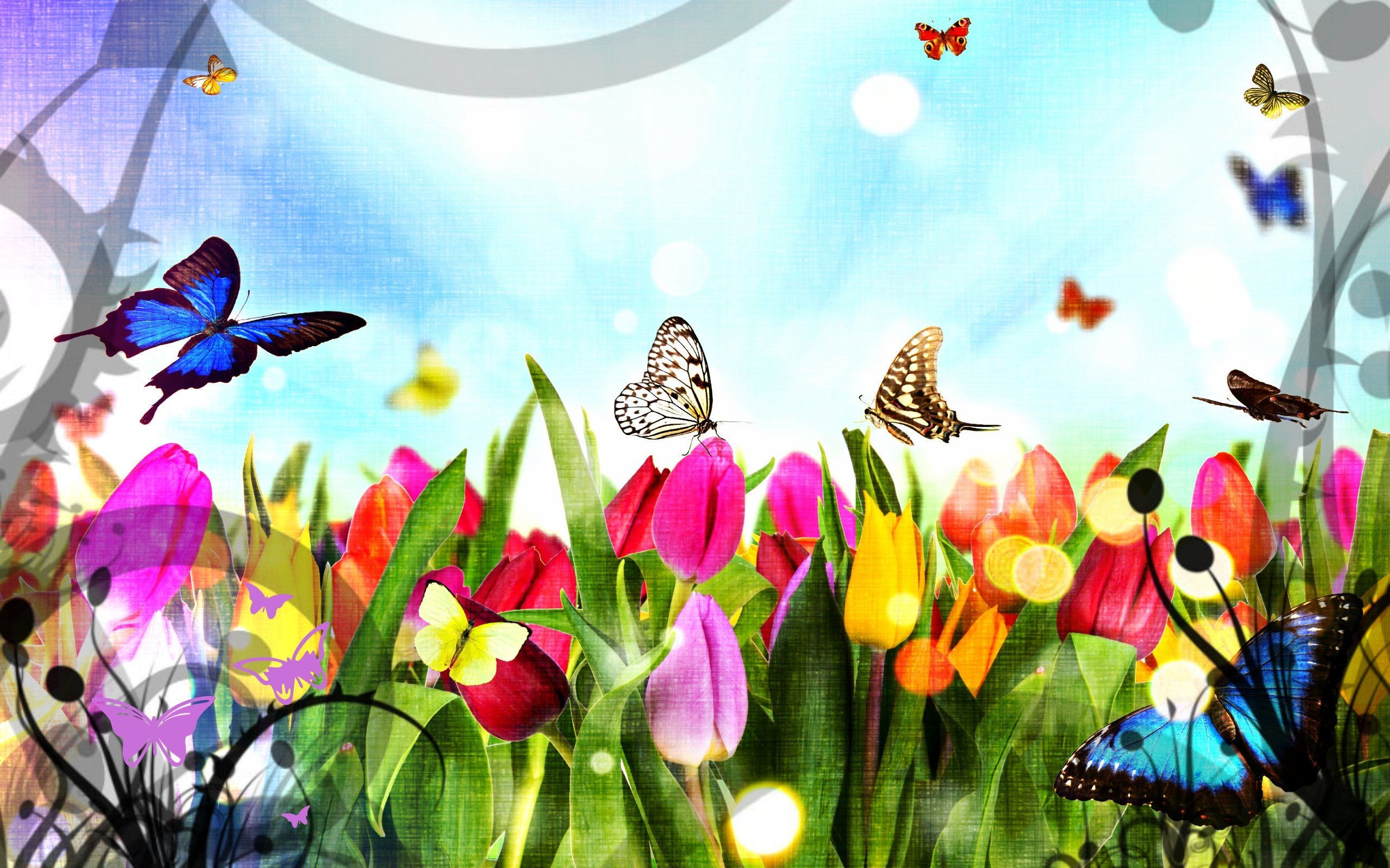 WALLPAPER CADOU. D.I.Y. Bazaar. Flower wallpaper, Beautiful butterflies, Rainbow wallpaper