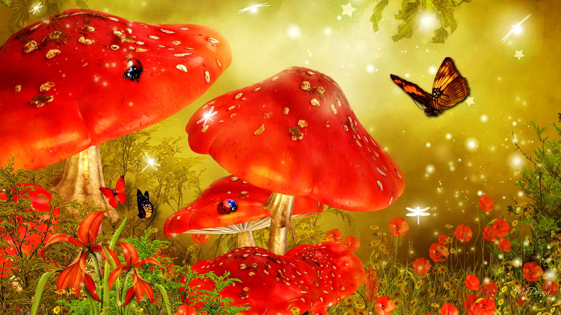 Ladybug Artistic Mushroom Red Butterfly Forest Flower Wallpaper:1920x1080