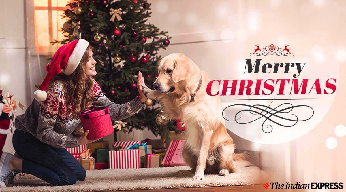 Merry Christmas 2019 Wishes, Happy New Year 2020 Advance Wishes Image, Status, Quotes, SMS, Messages, GIF Pics, Photo, HD Wallpaper Download