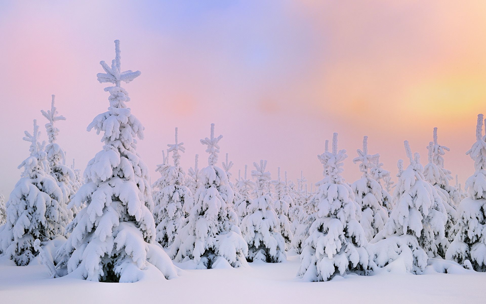 Winter Theme Background
