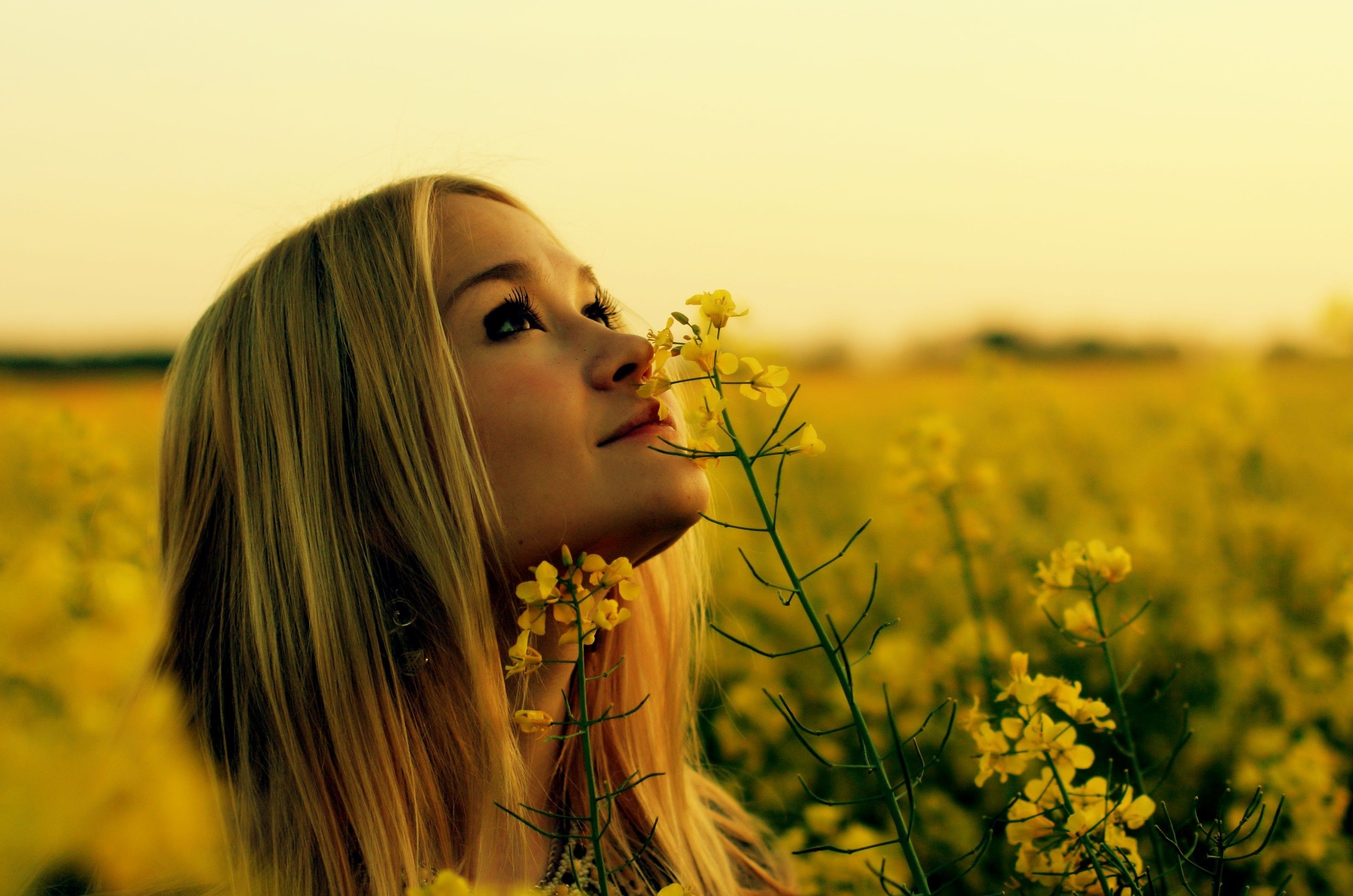 Rapeseed, Women Outdoors, Blonde, Yellow Flowers, Looking Up, Flowers Wallpaper HD / Desktop and Mobile Background