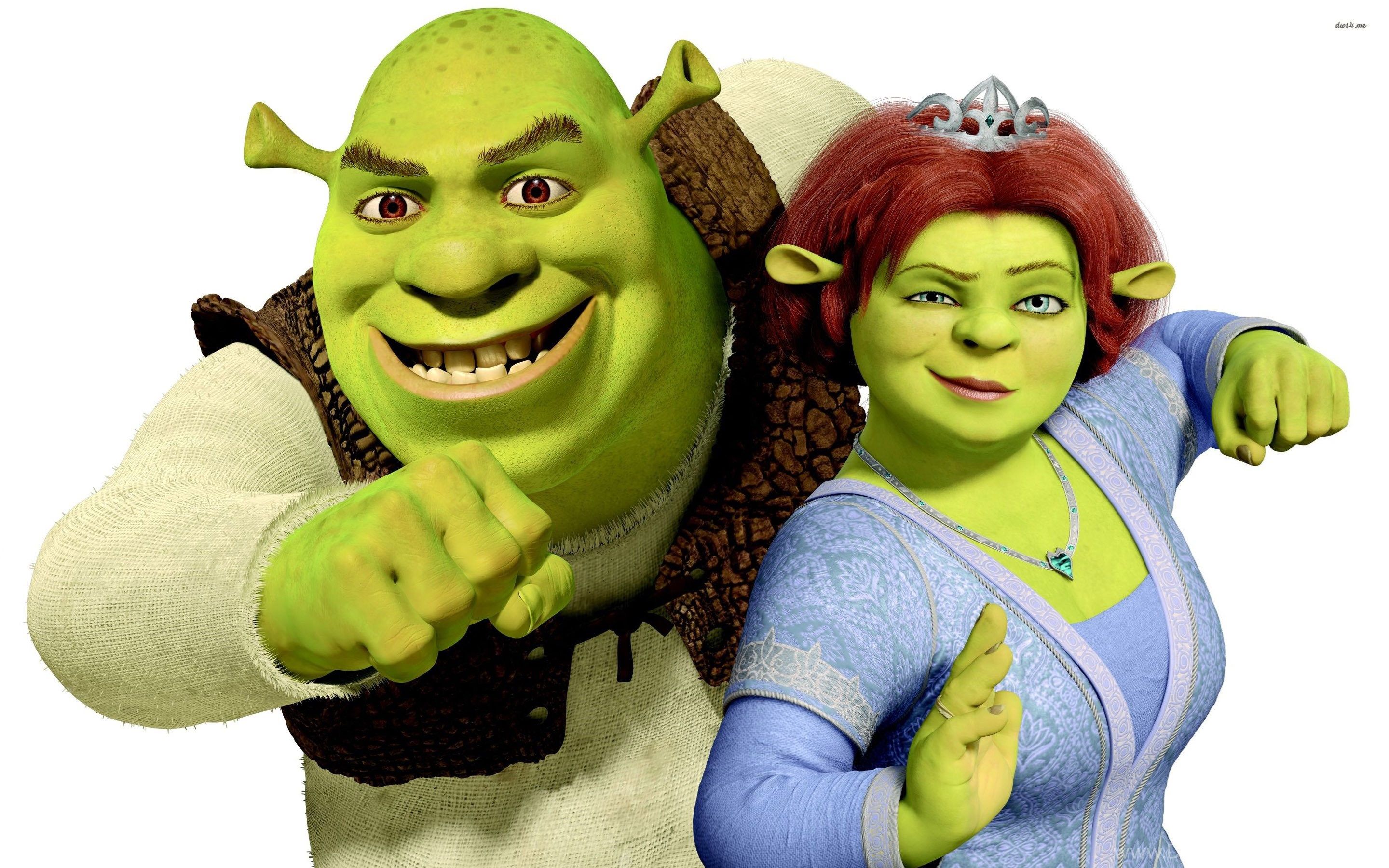 Shrek And Princess Fiona Wallpaper Cartoon Wallpaper Desktop Background