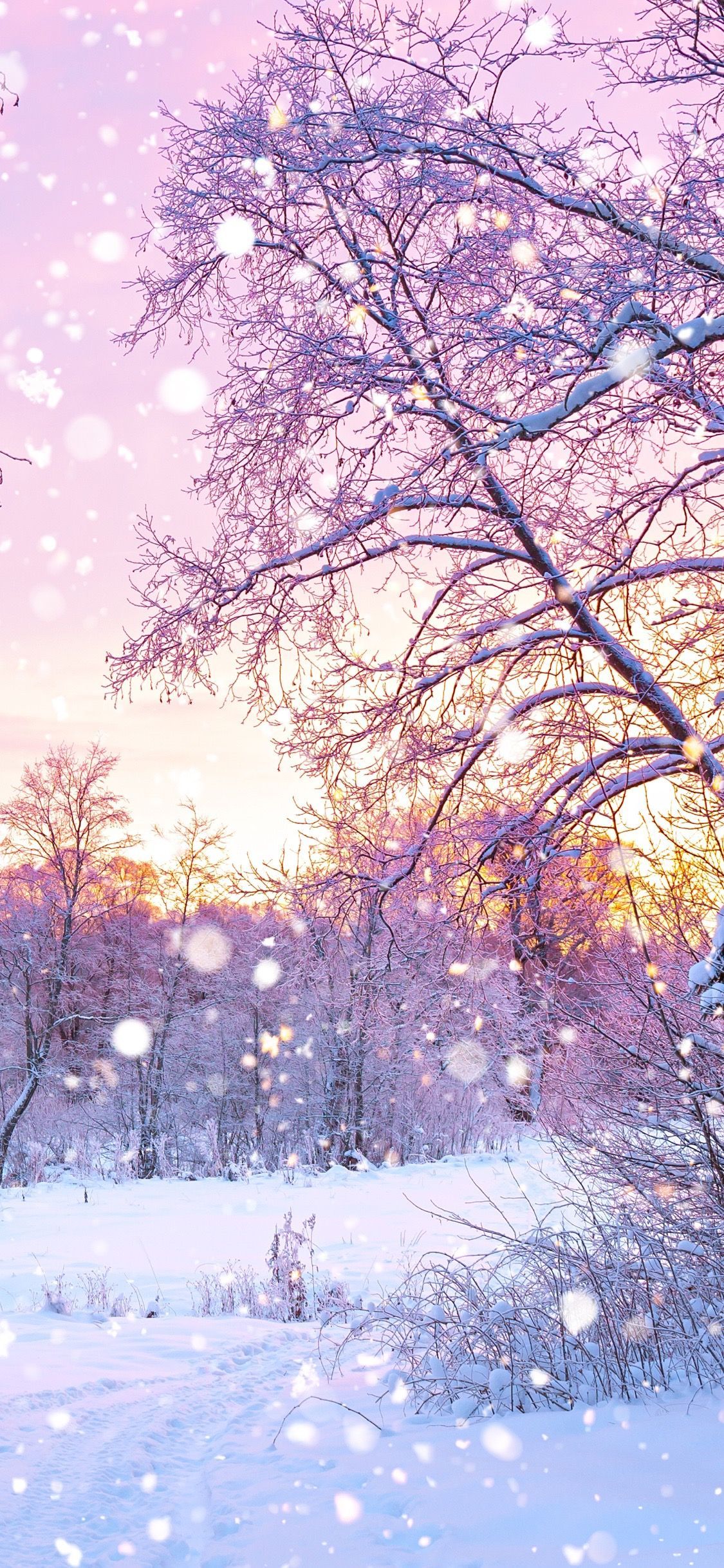 Snow iPhone wallpaper. Winter wallpaper, Beautiful nature wallpaper, Nature wallpaper