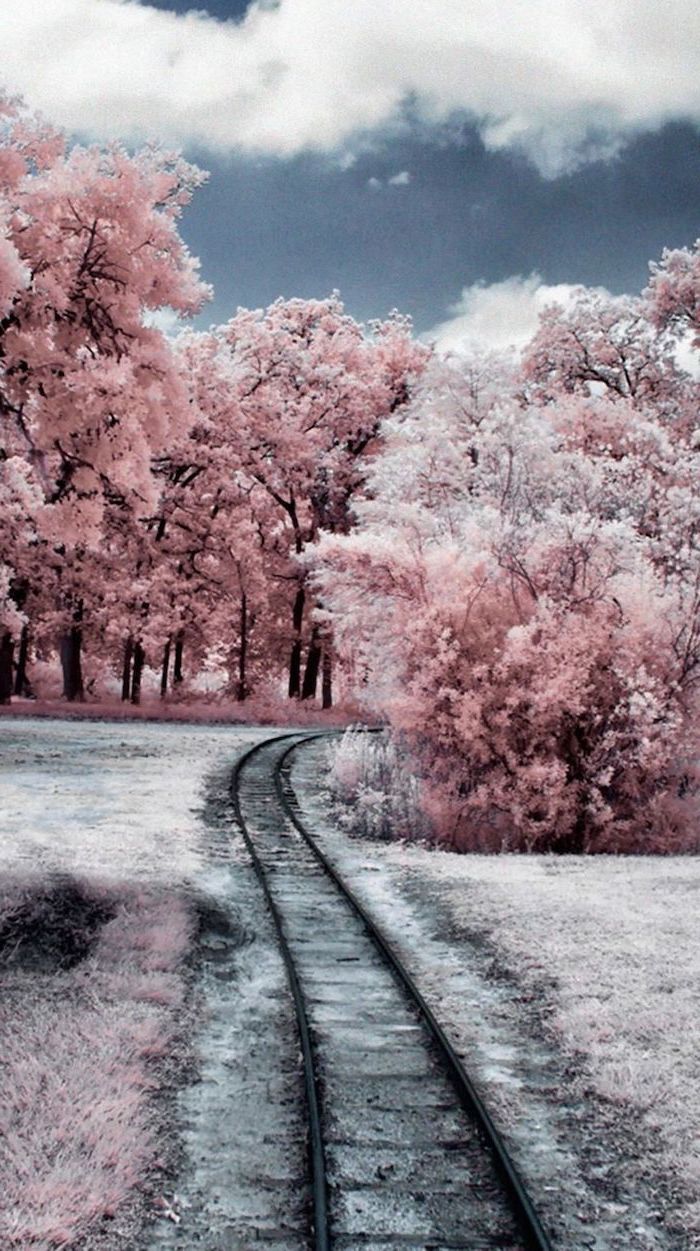 Pink Aesthetic Snow Landscape Wallpapers Wallpaper Cave