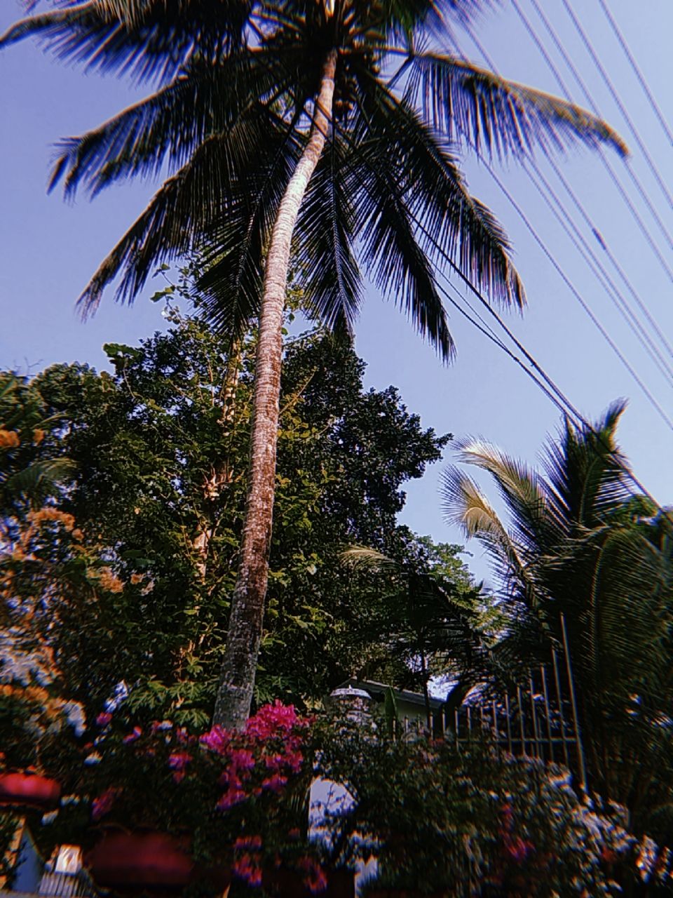 Image about summer in Wallpaper