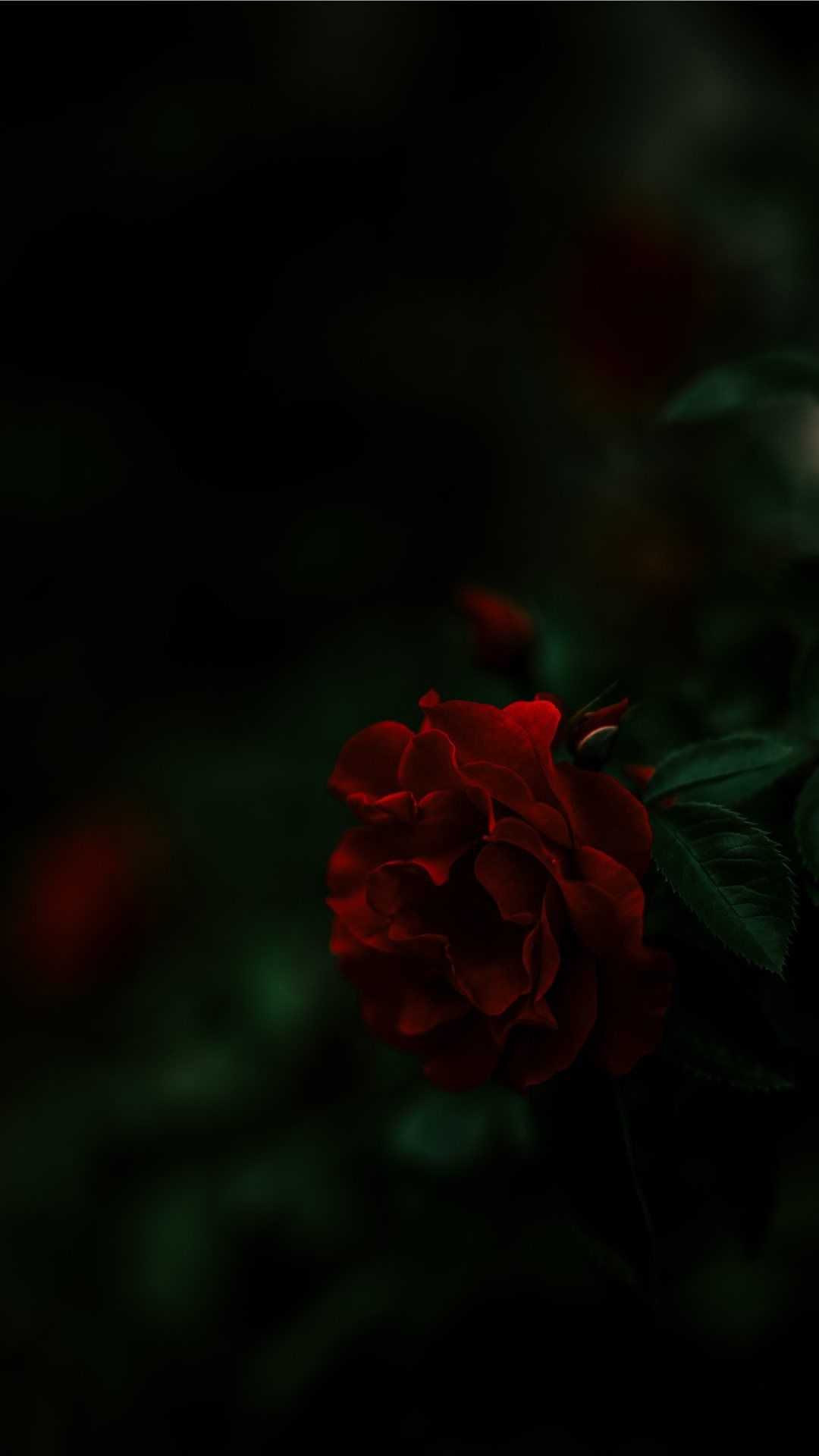 Latest iPhone 8 Wallpaper Free HD