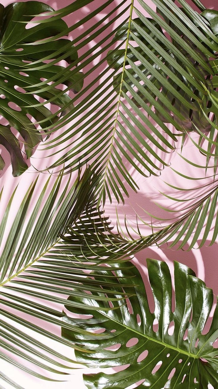 Aesthetic Summer Leaves Wallpaper
