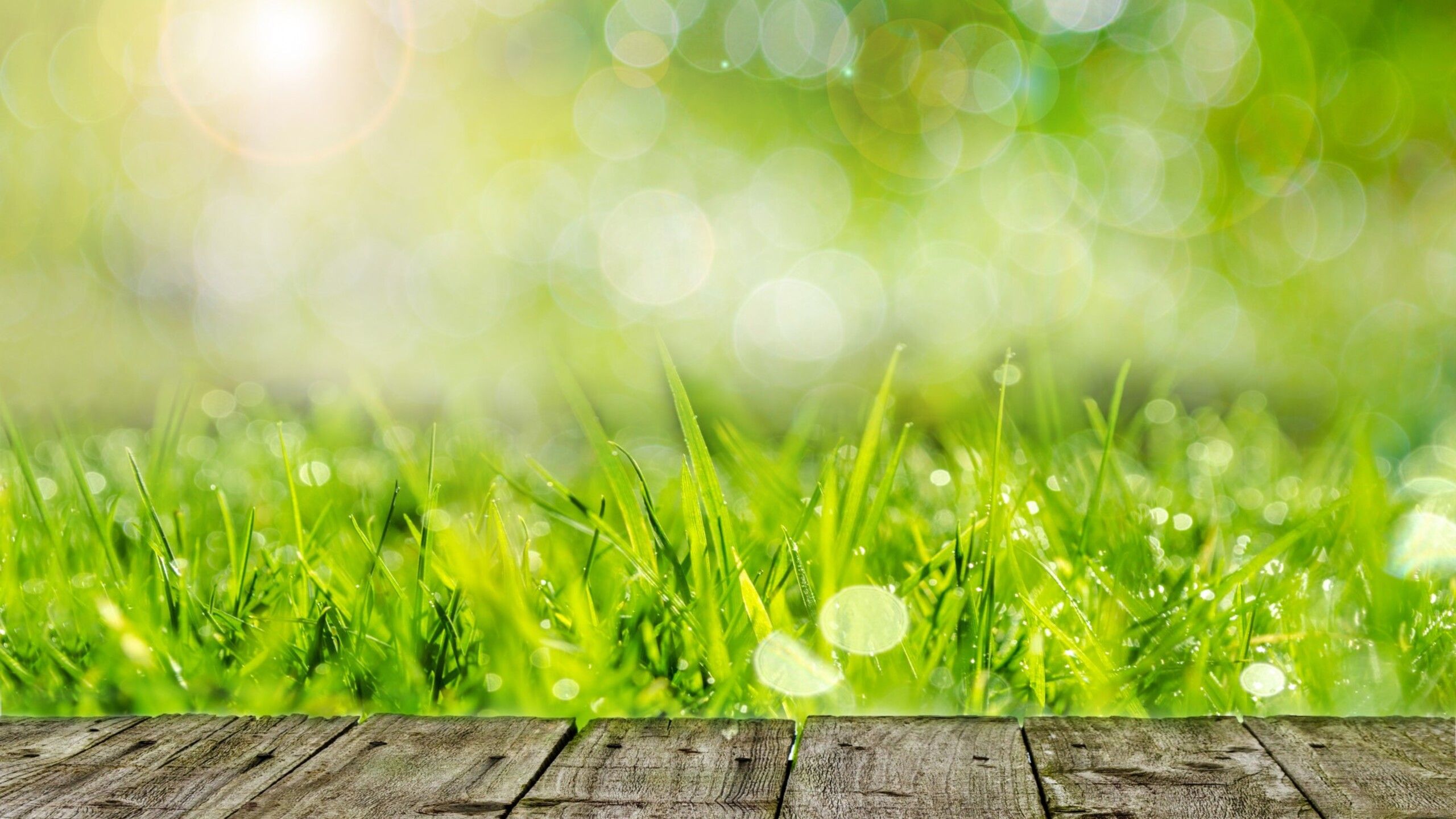 Wooden table in the garden green grass