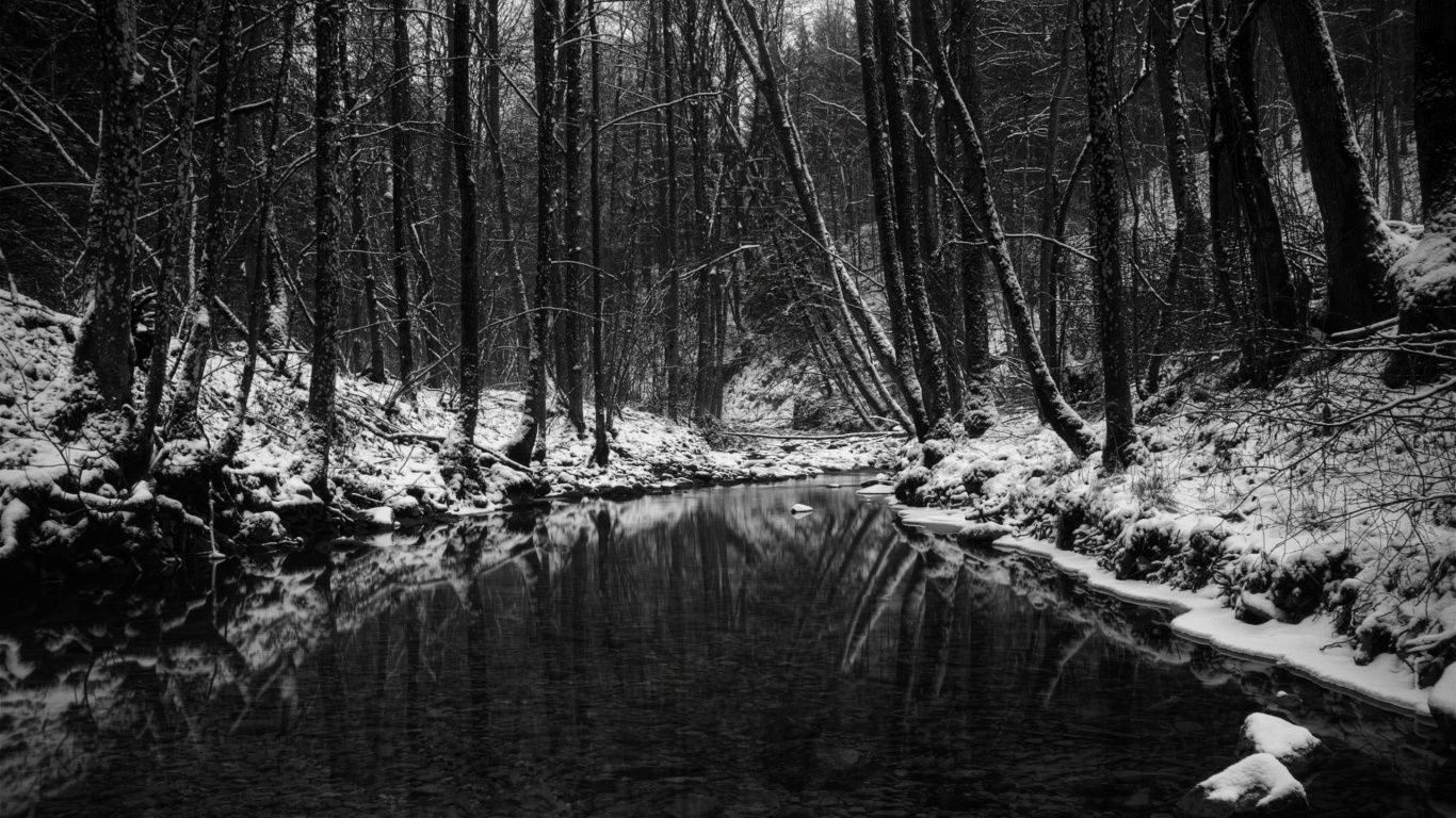 Winter in black and white. Winter landscape, Dark wallpaper, Winter wallpaper