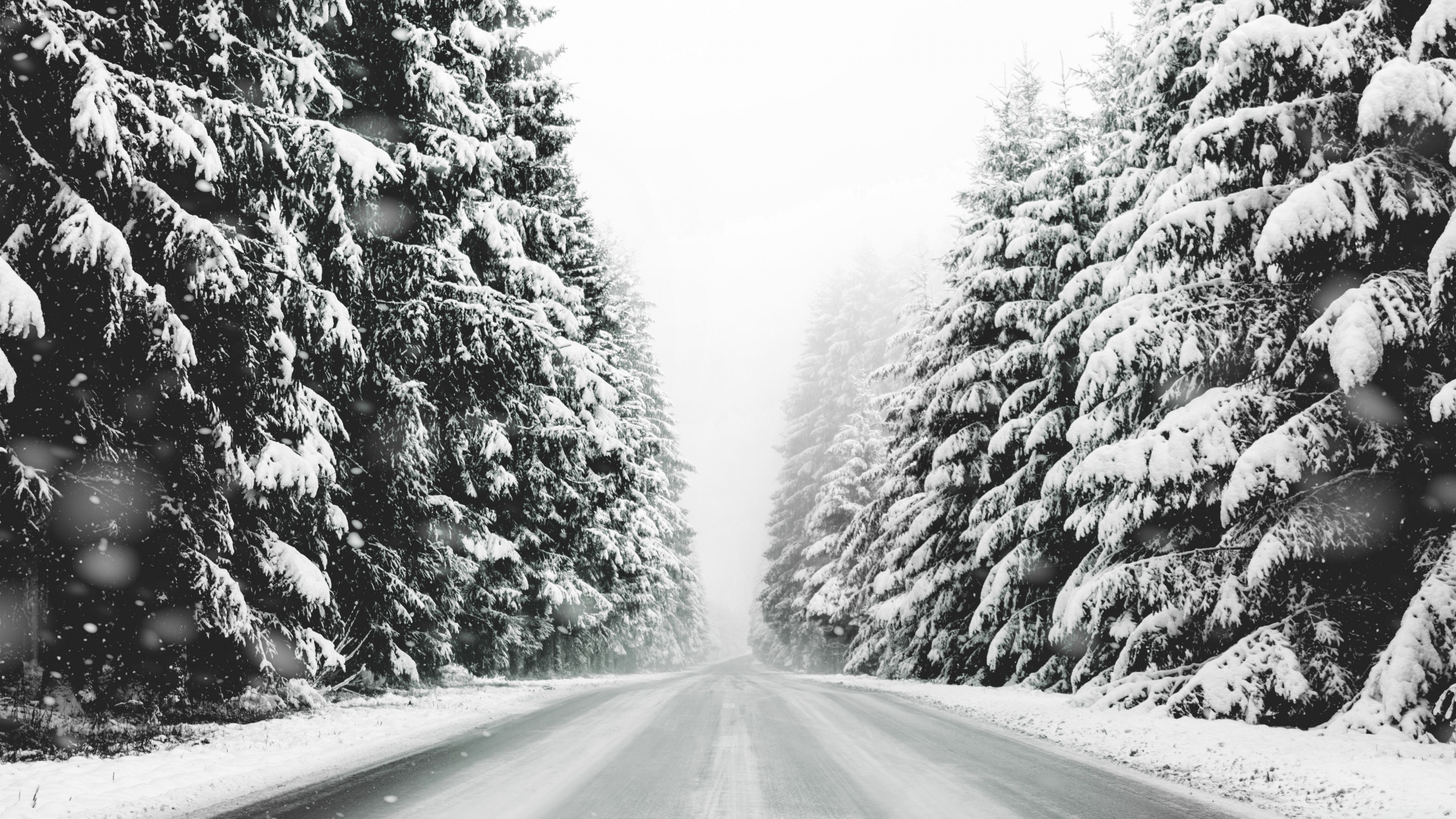 Road, Forest, Snow, Winter Landscape, Black and White Ultra HD Desktop Background Wallpaper for 4K UHD TV, Widescreen & UltraWide Desktop & Laptop, Multi Display, Dual & Triple Monitor, Tablet