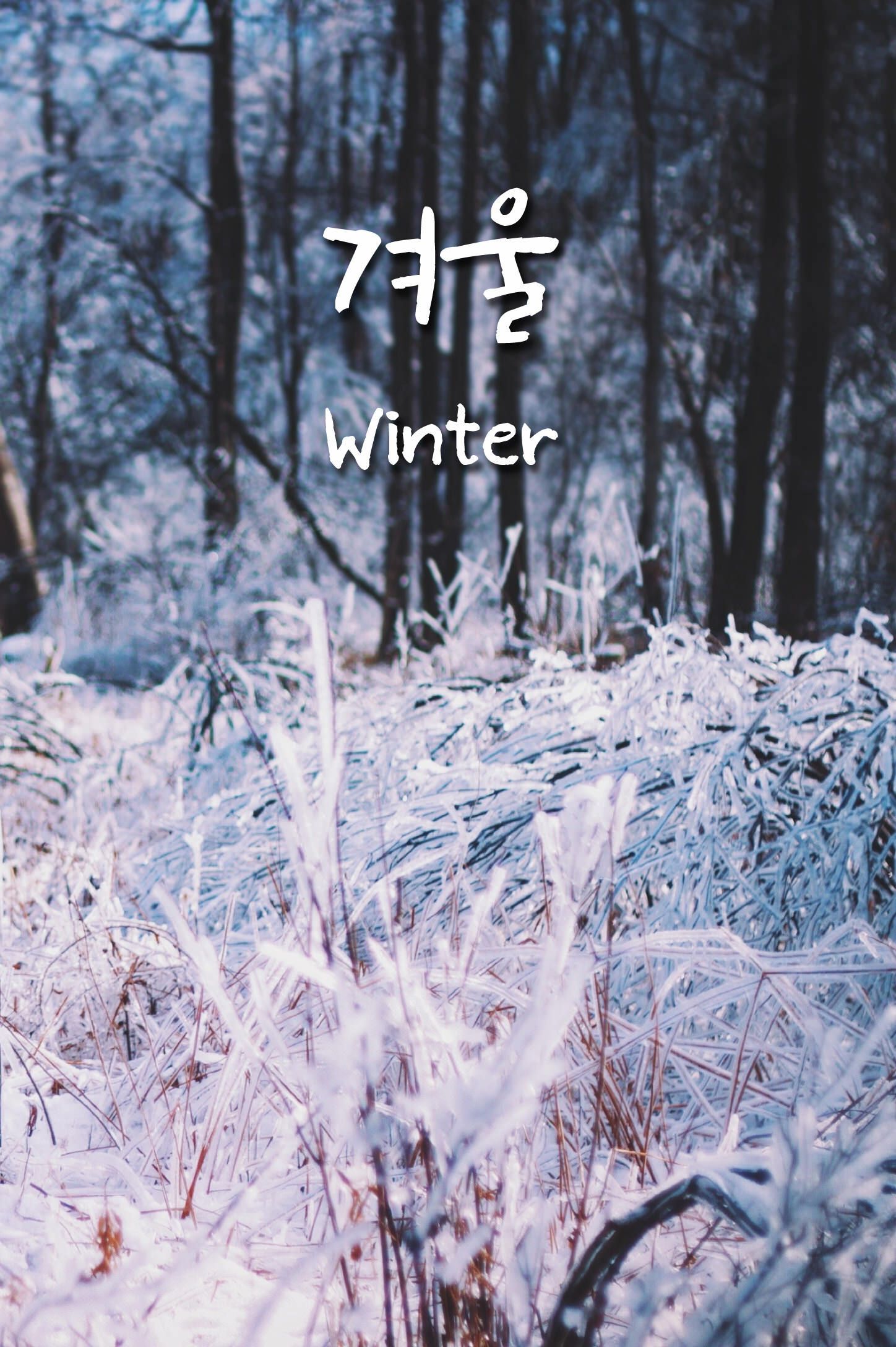 겨울 (gyeoul) Winter. Cute korean words, Korean quotes, Korean words