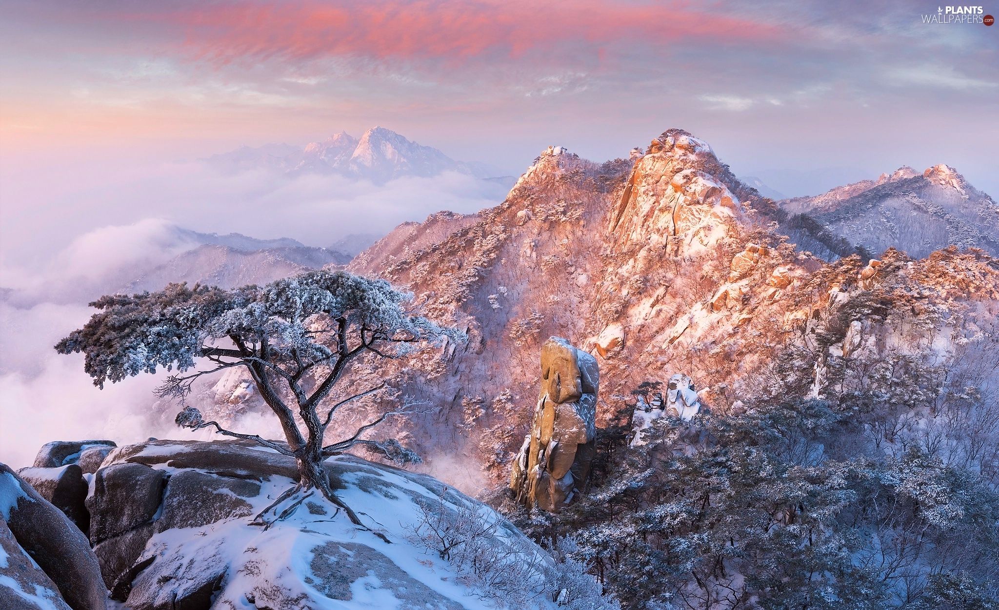 Mountains, South Korea, Snowy, Winter, Stones, Pine, Viewes, Bukhansan National Park, Gyeonggi Do Province, Trees, Rocks Wallpaper: 2048x1251
