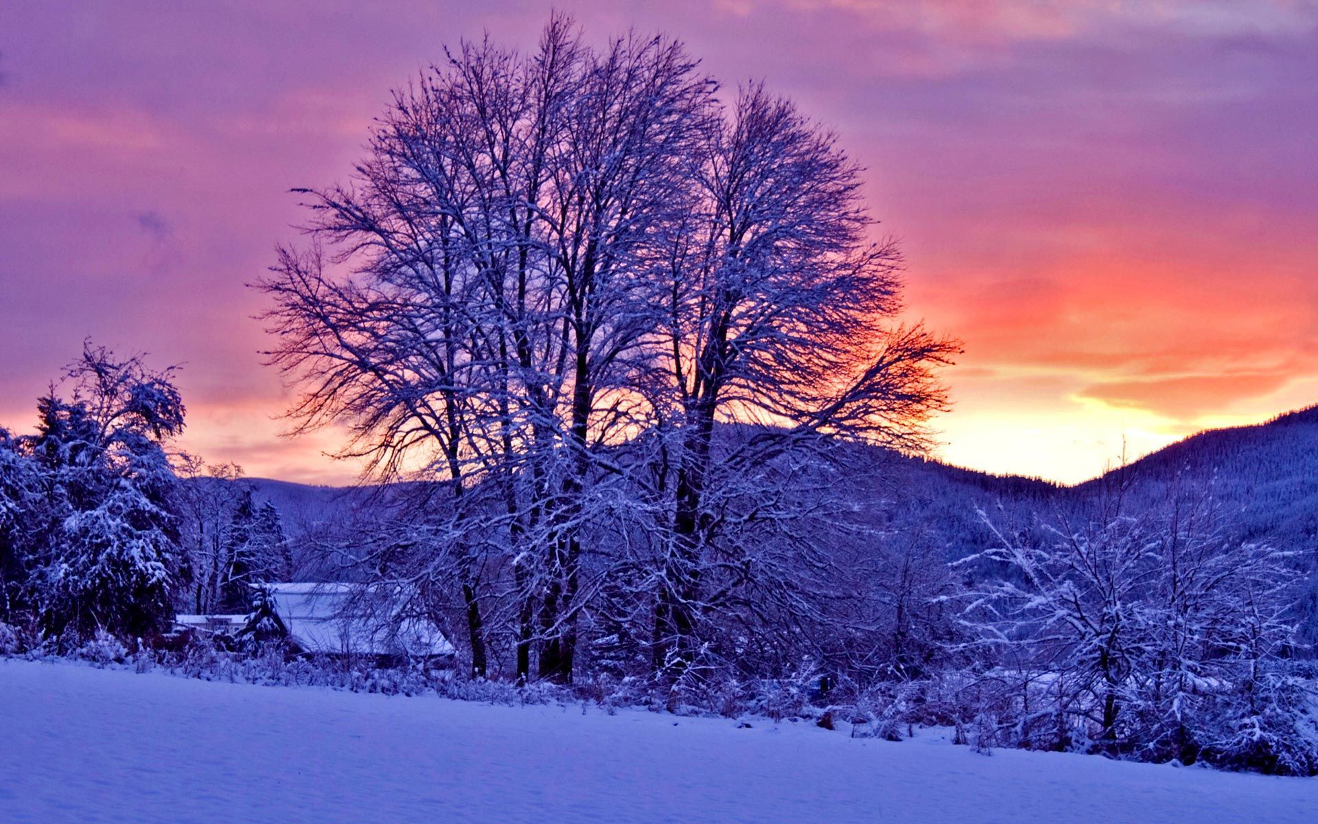 Winter Sunset. Winter wallpaper, Winter wallpaper hd, Desktop background image
