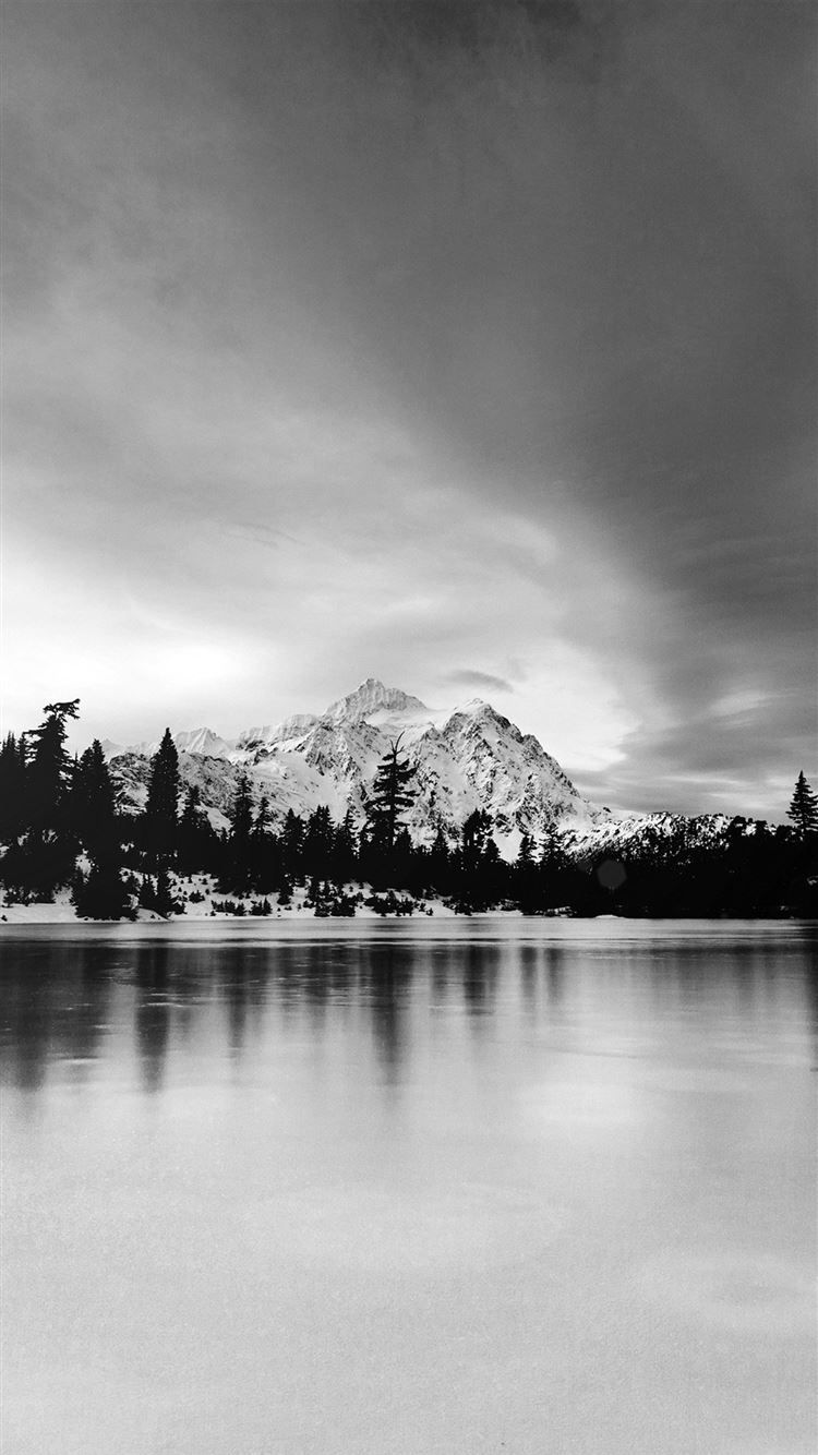 Frozen Lake Winter Snow Wood Forest Cold Bw Dark iPhone 8 Wallpaper Free Download