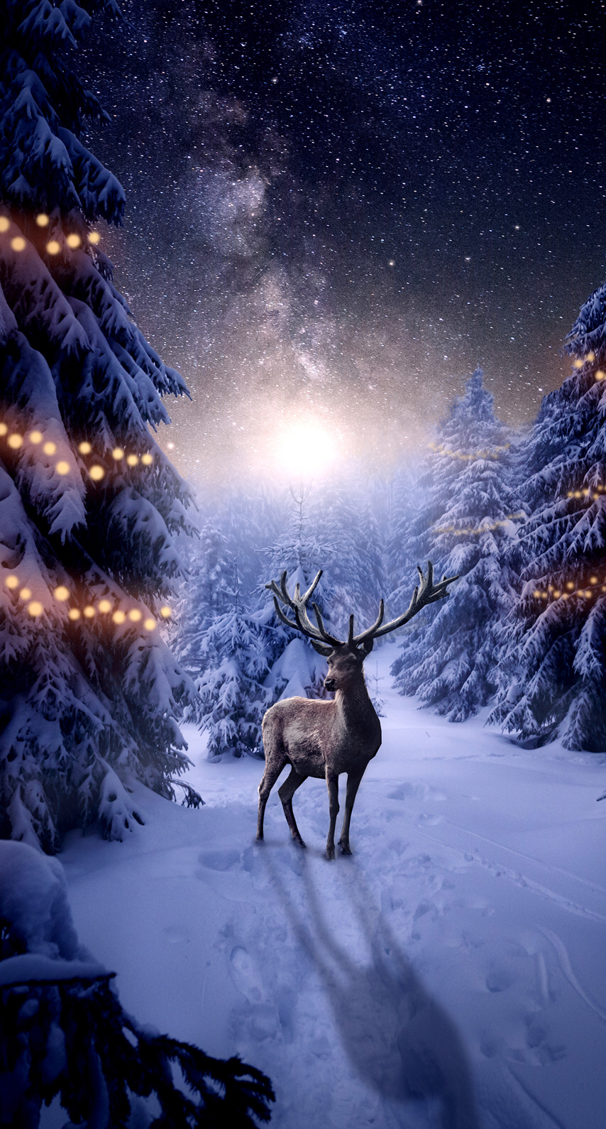 Christmas & New Years. Animals, Moose art, Wallpaper