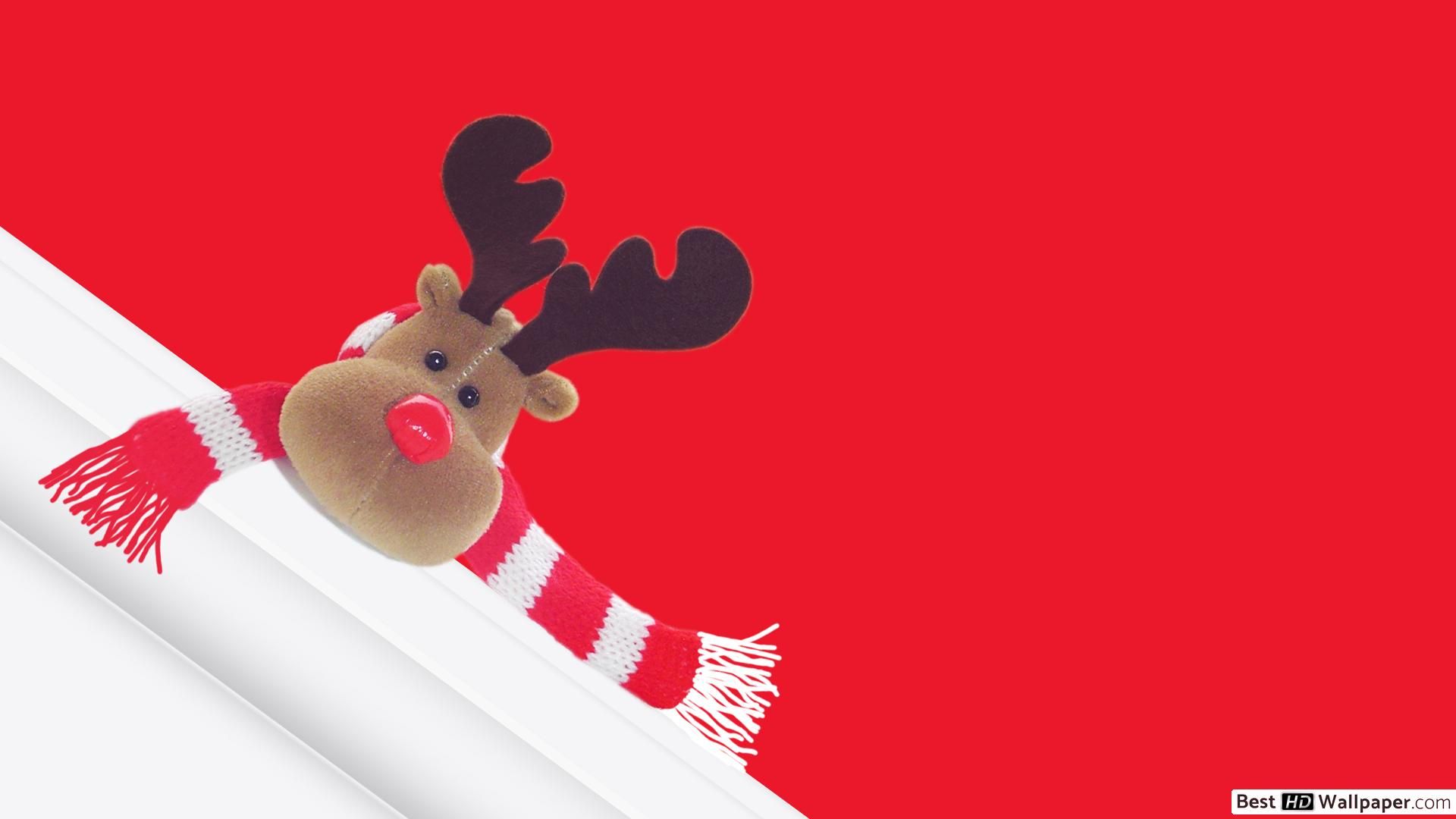 Merry Christ Moose! HD Wallpaper Download