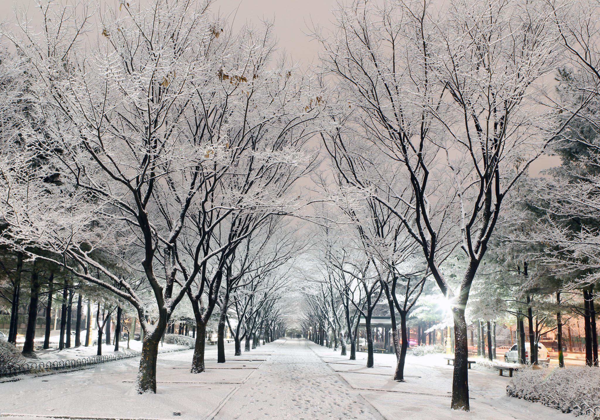 Winter South Korea Wallpapers Wallpaper Cave Winter South Korea Wallpapers Wallpaper Cave