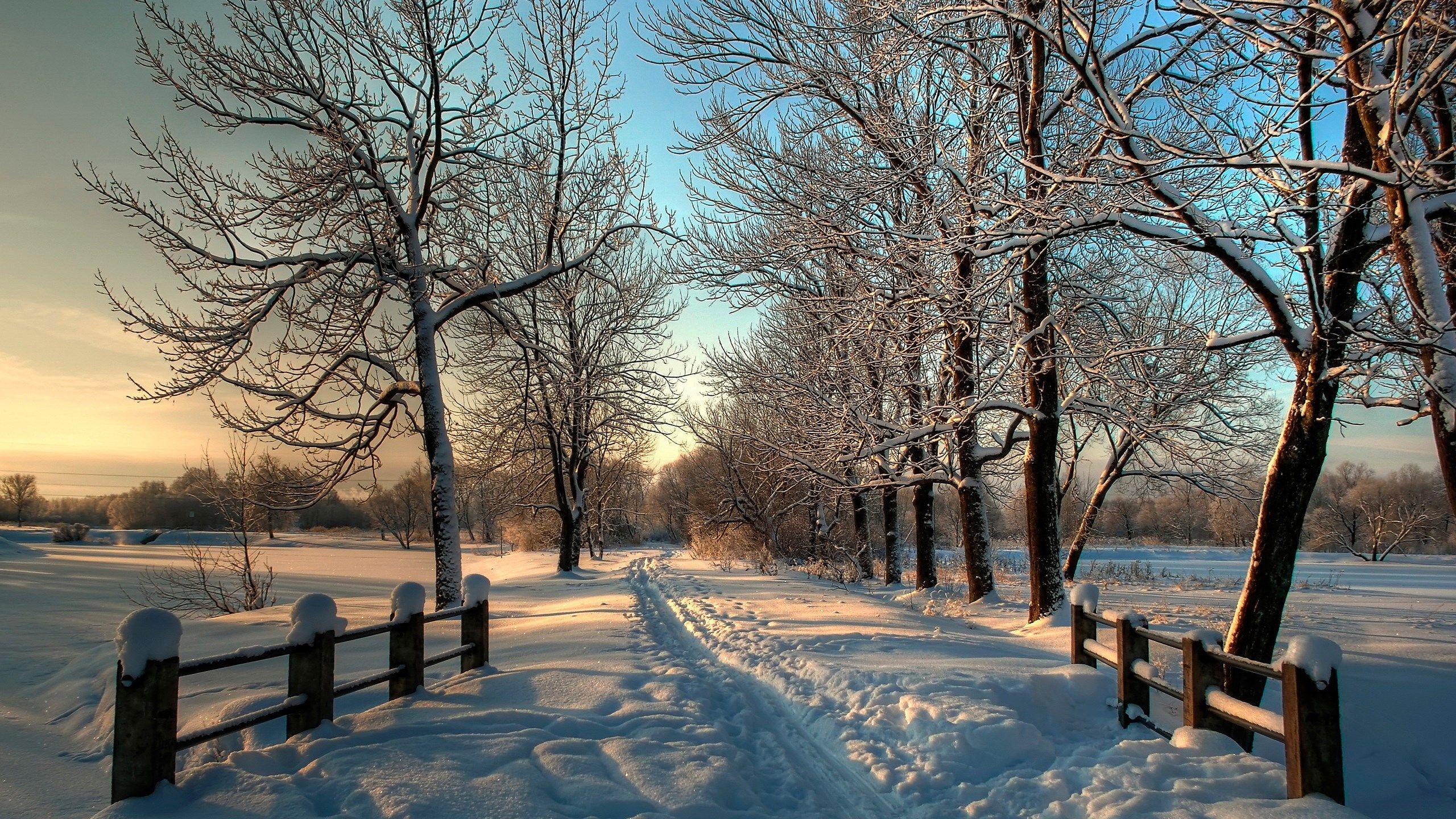 background winter scene 2560x1440. Winter landscape, Winter scenery, Winter picture