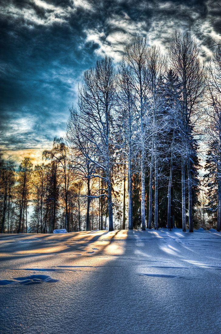 February afternoon. Winter scenery, Winter landscape, Beautiful nature