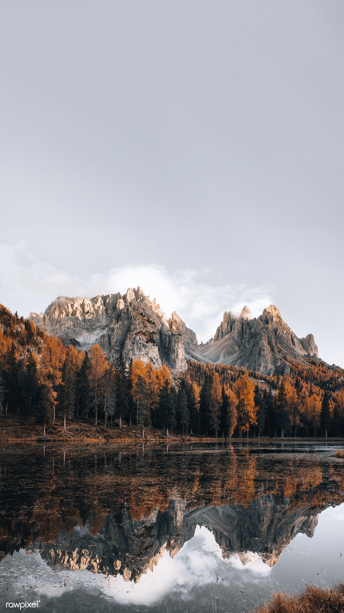 Download premium image of Dolomites lake in autumn mobile phone wallpaper. Autumn phone wallpaper, Landscape wallpaper, Forest wallpaper iphone