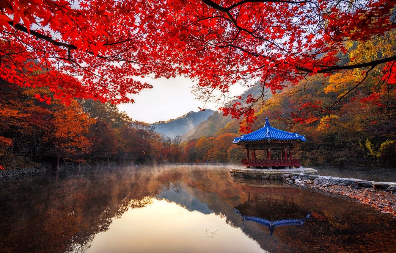 Wallpaper autumn, trees, landscape, mountains, branches, nature, fog, pond, Park, gazebo, South Korea, pavilion, Naejangsan image for desktop, section пейзажи