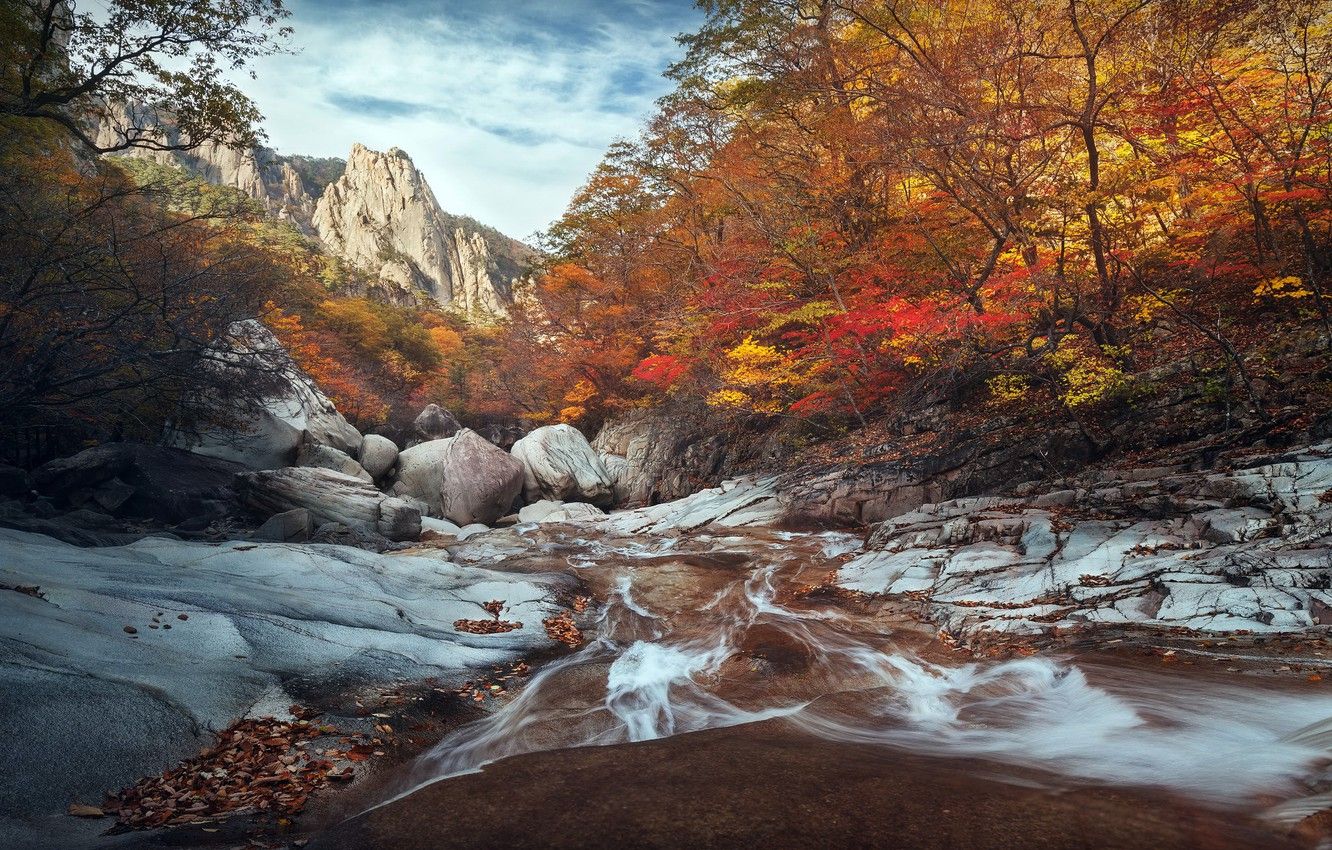 Wallpaper South Korea, autumn, River, Seoraksan national park image for desktop, section природа