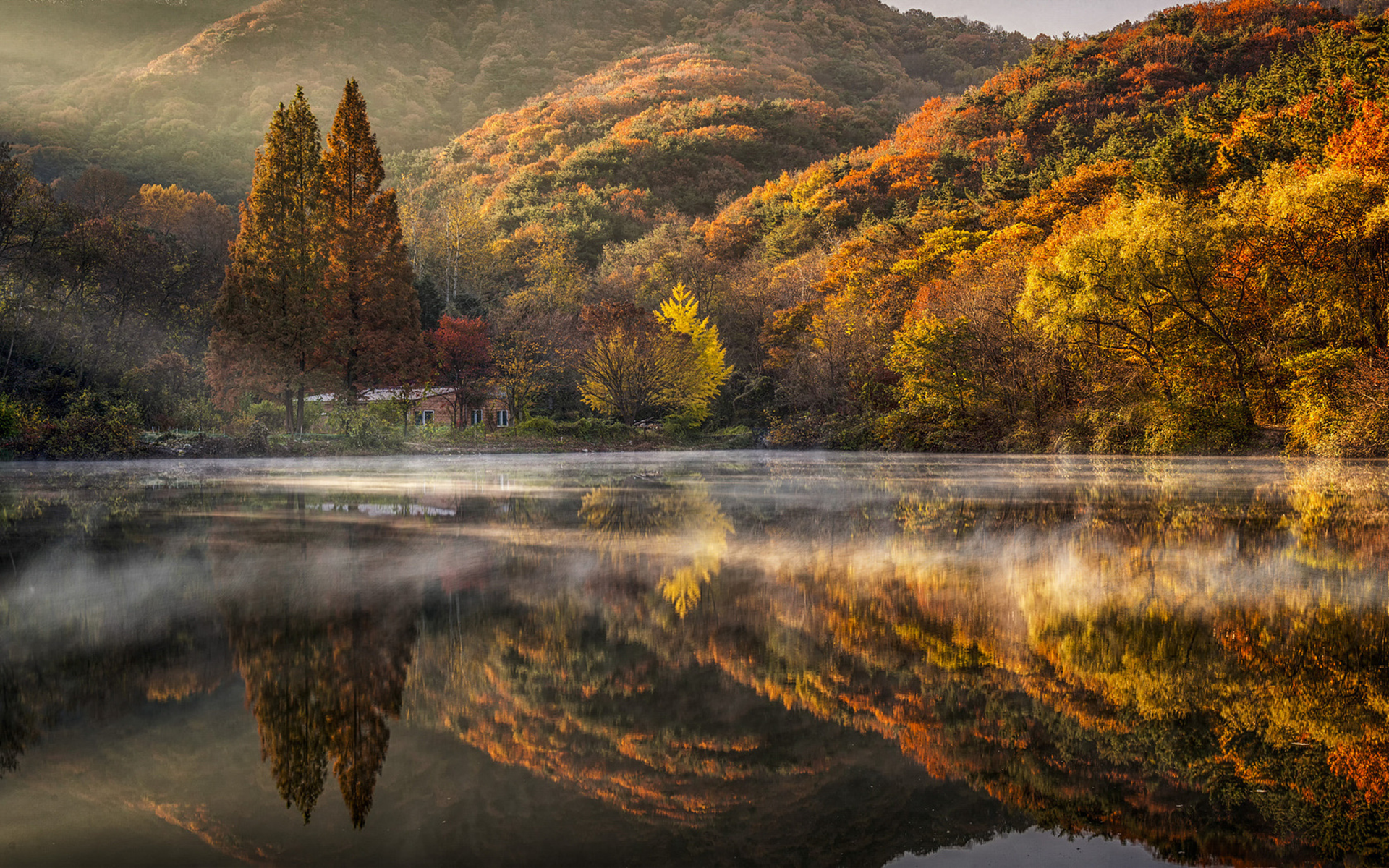 Download wallpaper South Korea, autumn, hills, lake, fog, forest, Asia for desktop with resolution 1920x1200. High Quality HD picture wallpaper