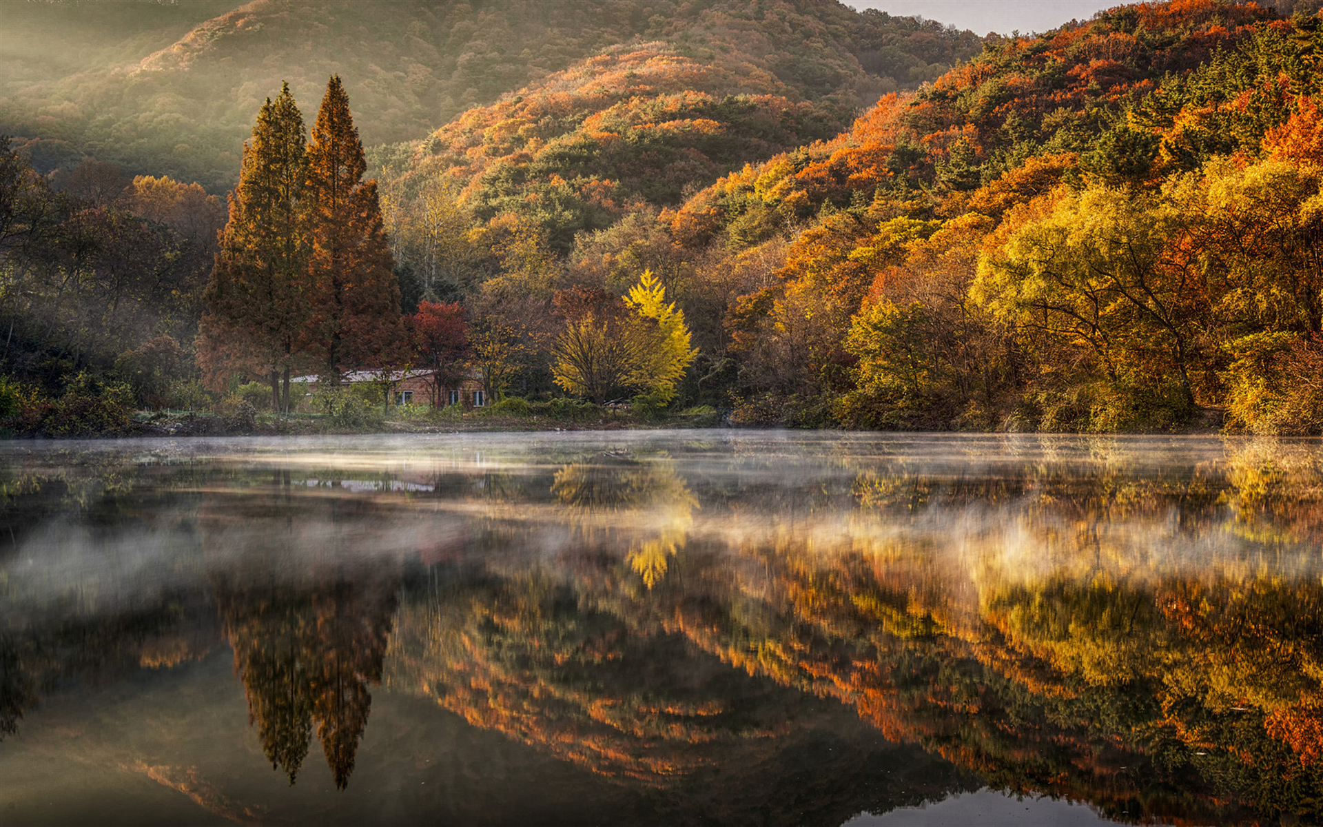 South Korea Autumn Wallpapers - Wallpaper Cave