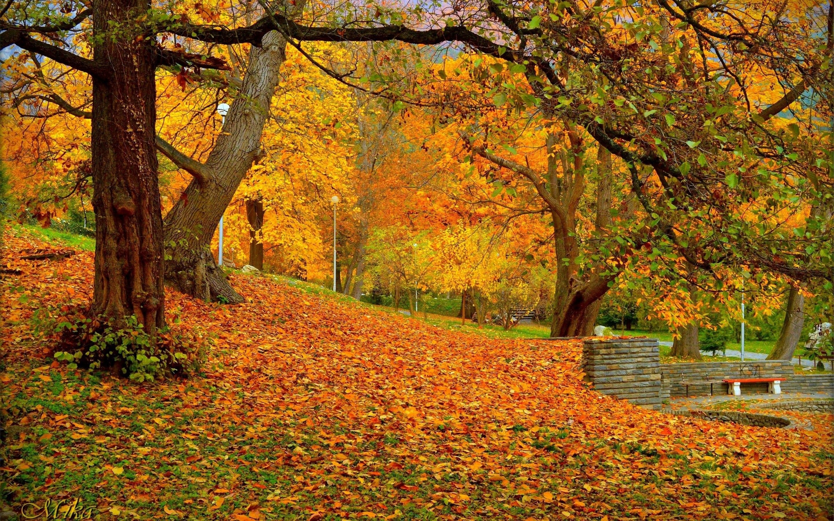 Download 2880x1800 Autumn, Park, Bench, Fall, Foliage, Scenery Wallpaper for MacBook Pro 15 inch