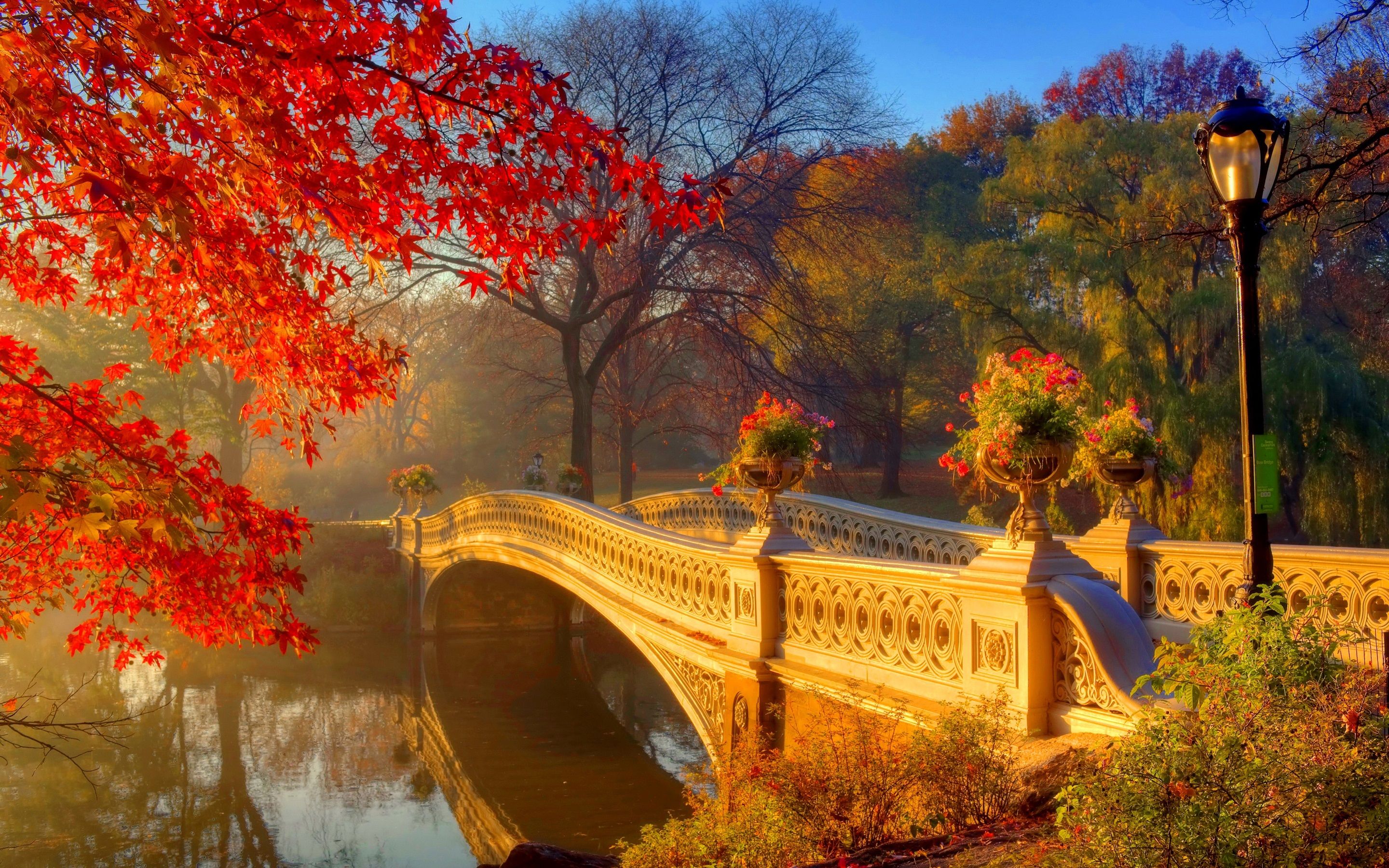 Wallpaper Autumn park at morning, river, bridge, trees, flowers 2880x1800 HD Picture, Image