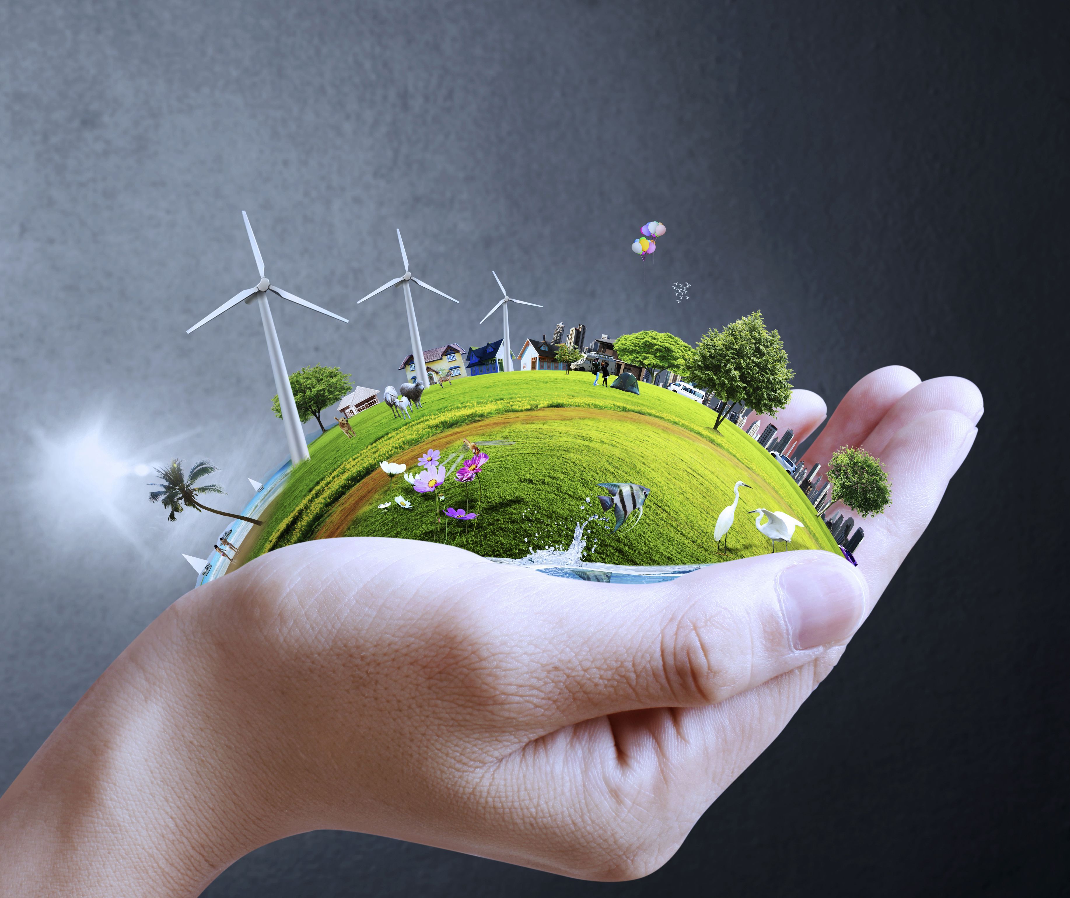 Sustainability Of The Future HD Wallpaper