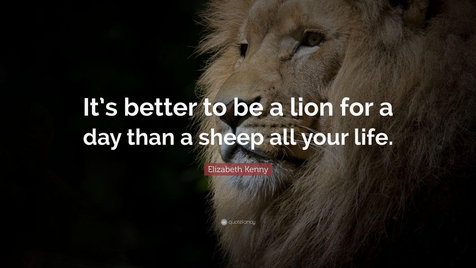 Attitude Motivational Lion Quotes Wallpaper