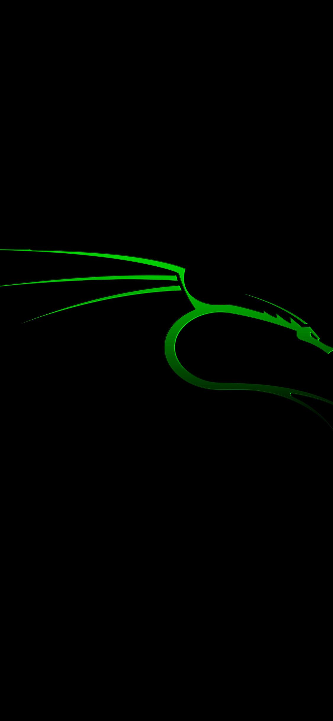 Kali Linux HD Phone Wallpapers - Wallpaper Cave