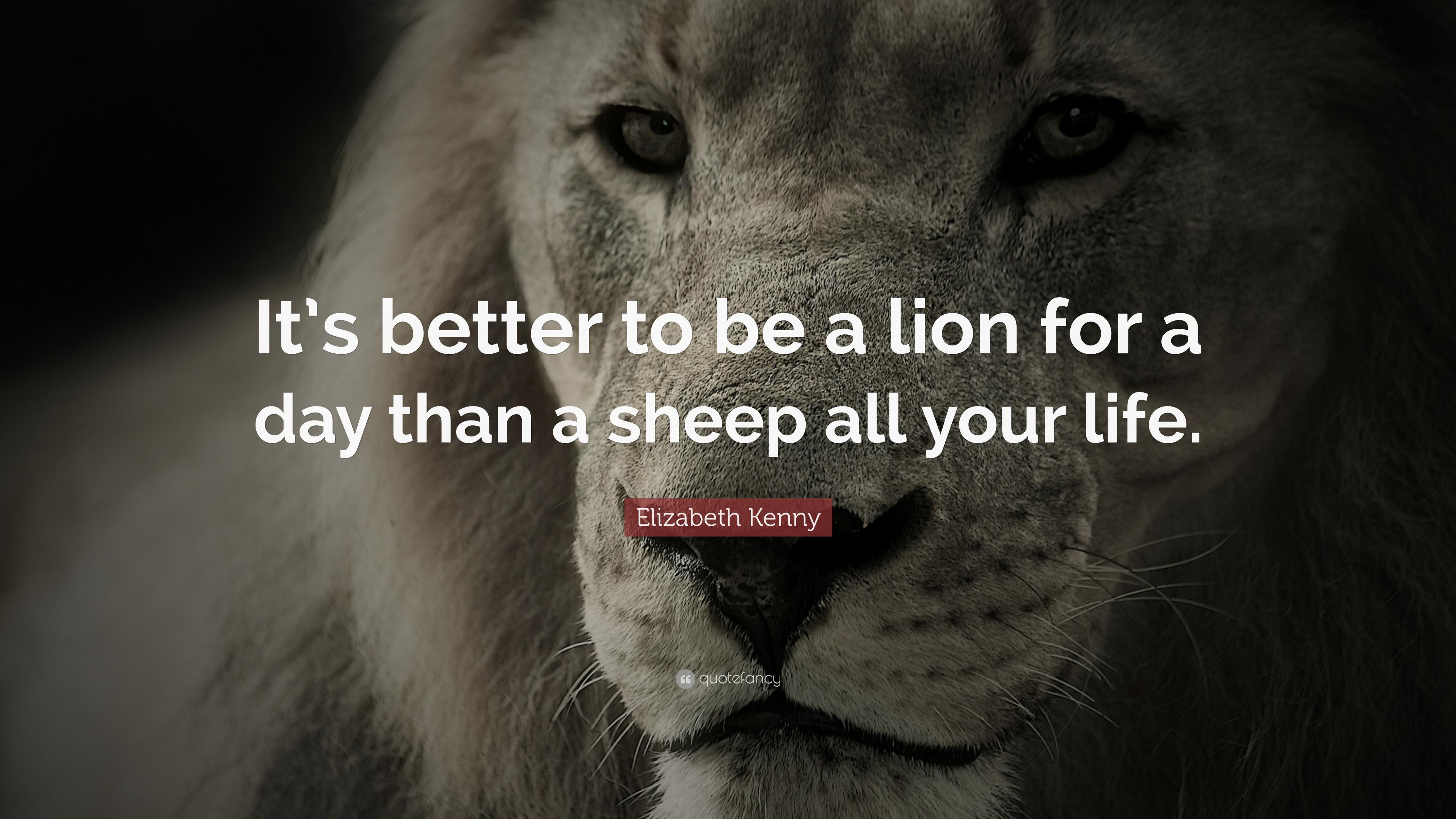 Attitude Powerful Lion Quotes - Evolve