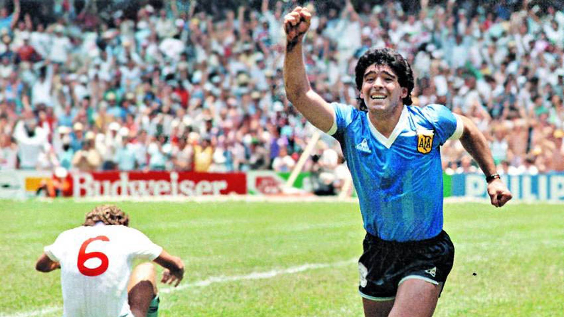 Maradona: Los 10 mejores goles del dios del fútbol