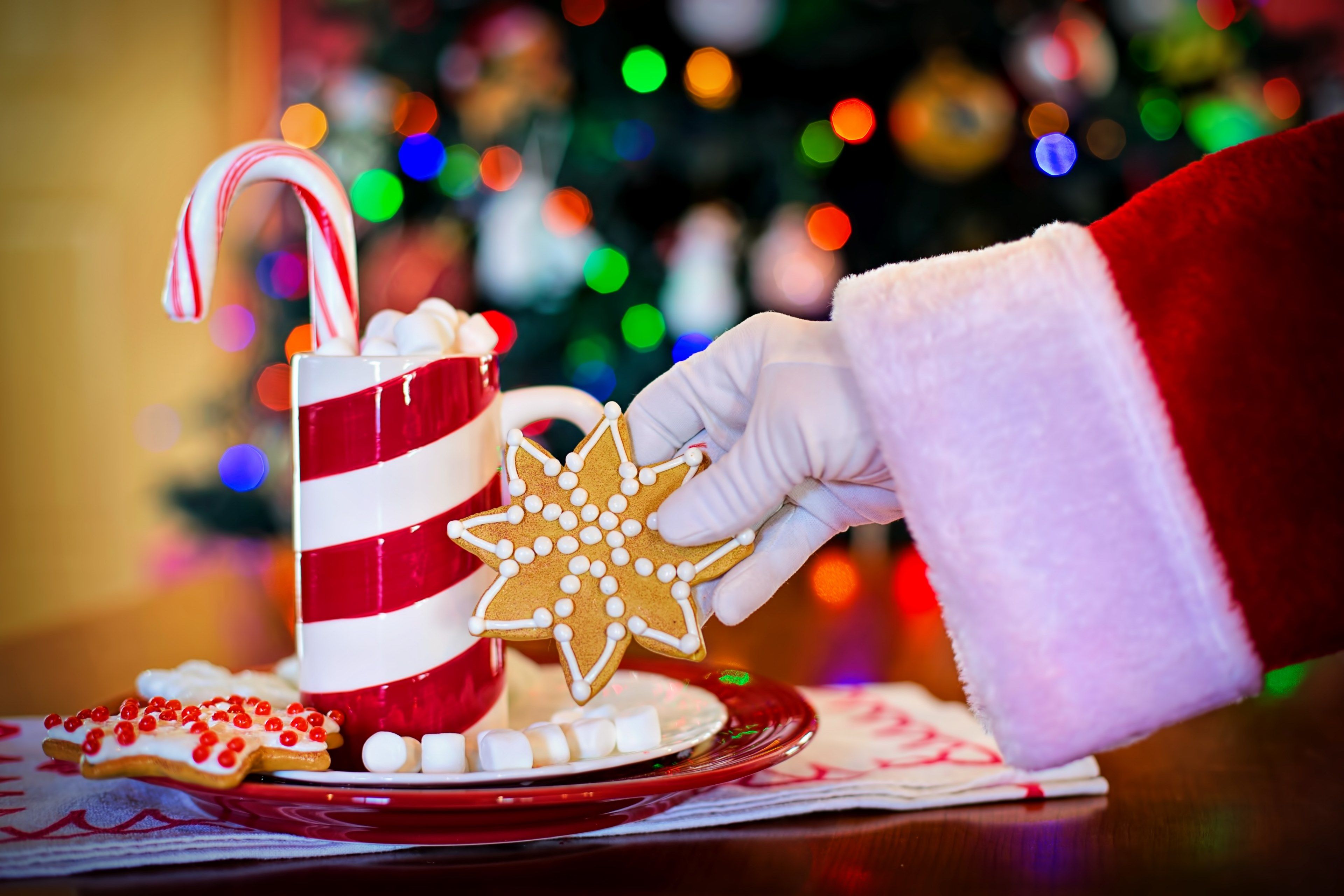 Wallpaper / santas arm hot chocolate cocoa christmas cookie 4k wallpaper