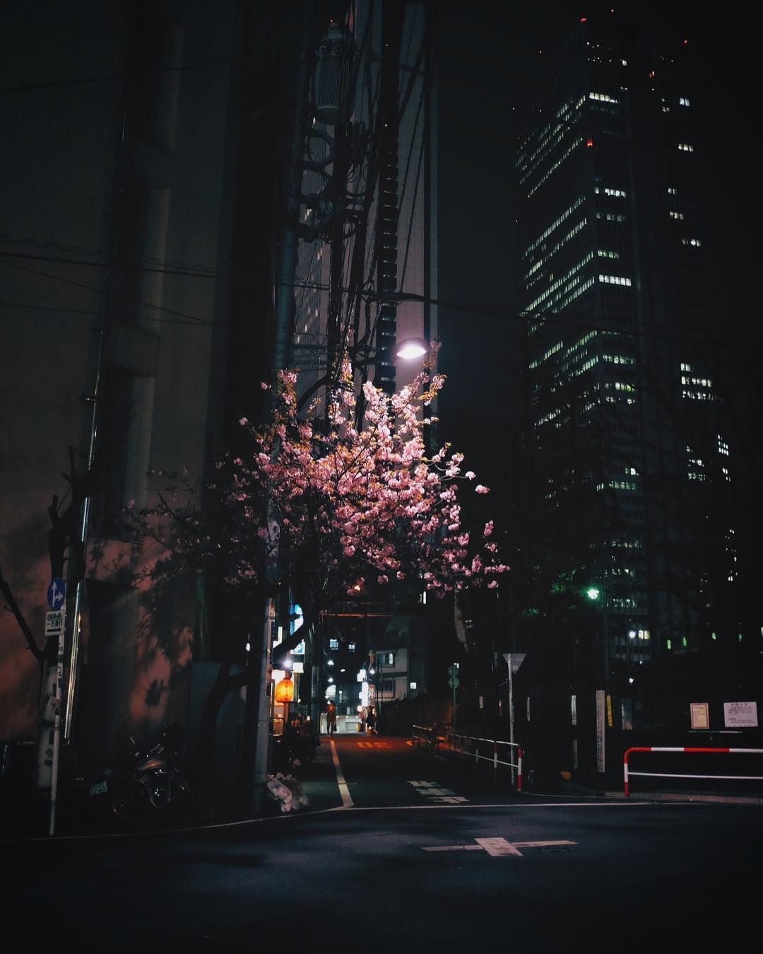 sakura. Night aesthetic, City aesthetic, Aesthetic picture
