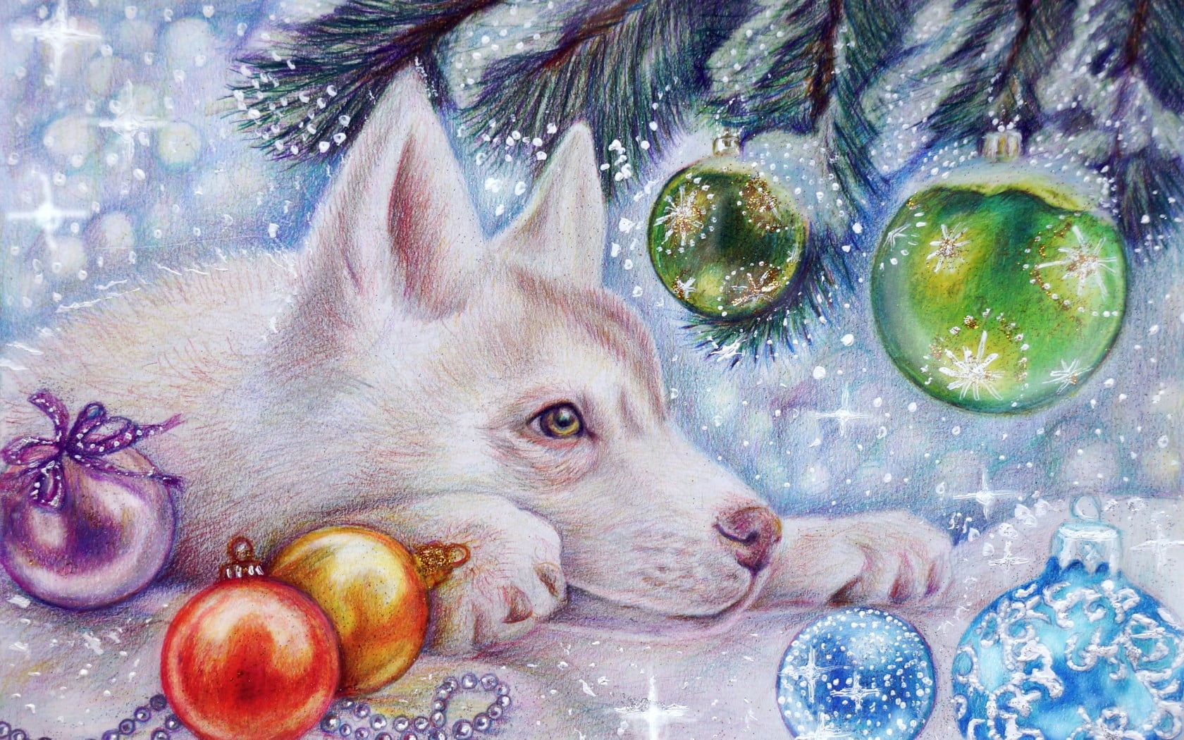 Husky Puppy Husky Christmas Picture Of Dogs Wallpaper & Background Download