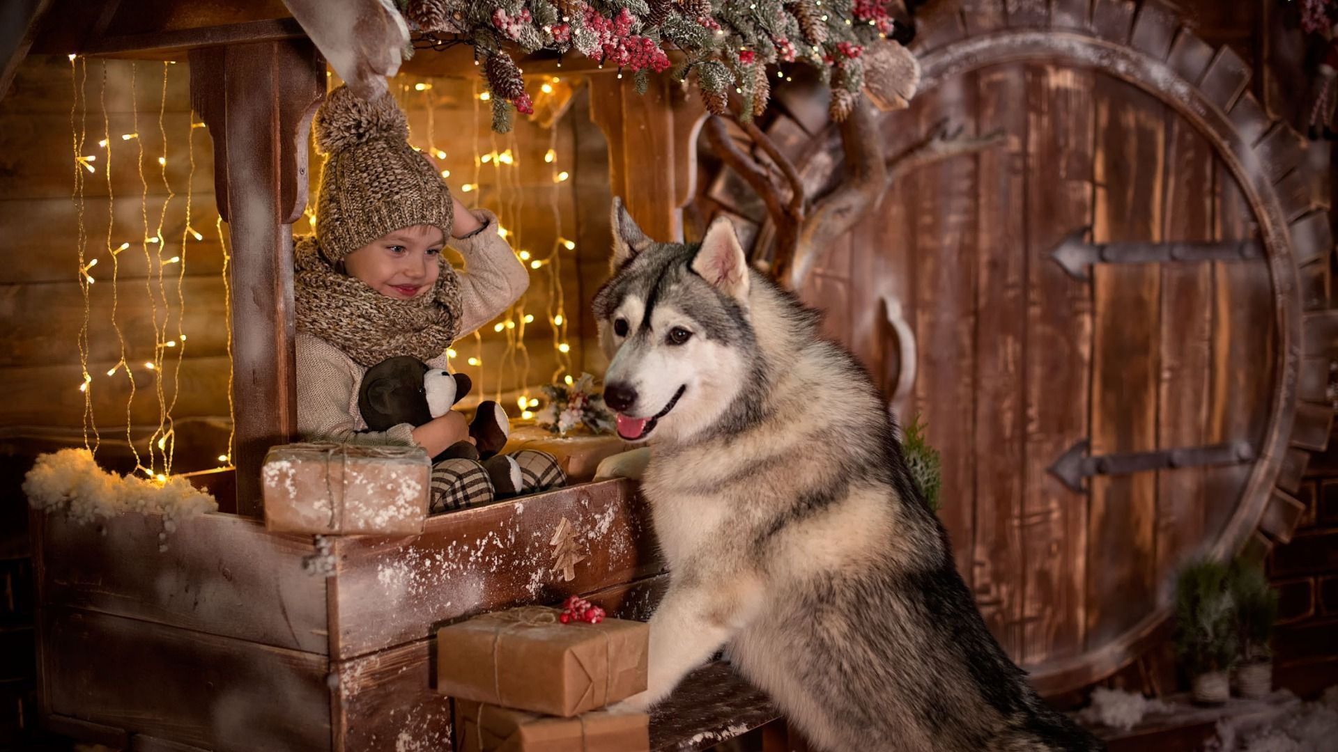 Download wallpaper dog, joy, new year, holiday, boy, section mood in resolution 1920x1080. Husky, Dogs, Siberian husky