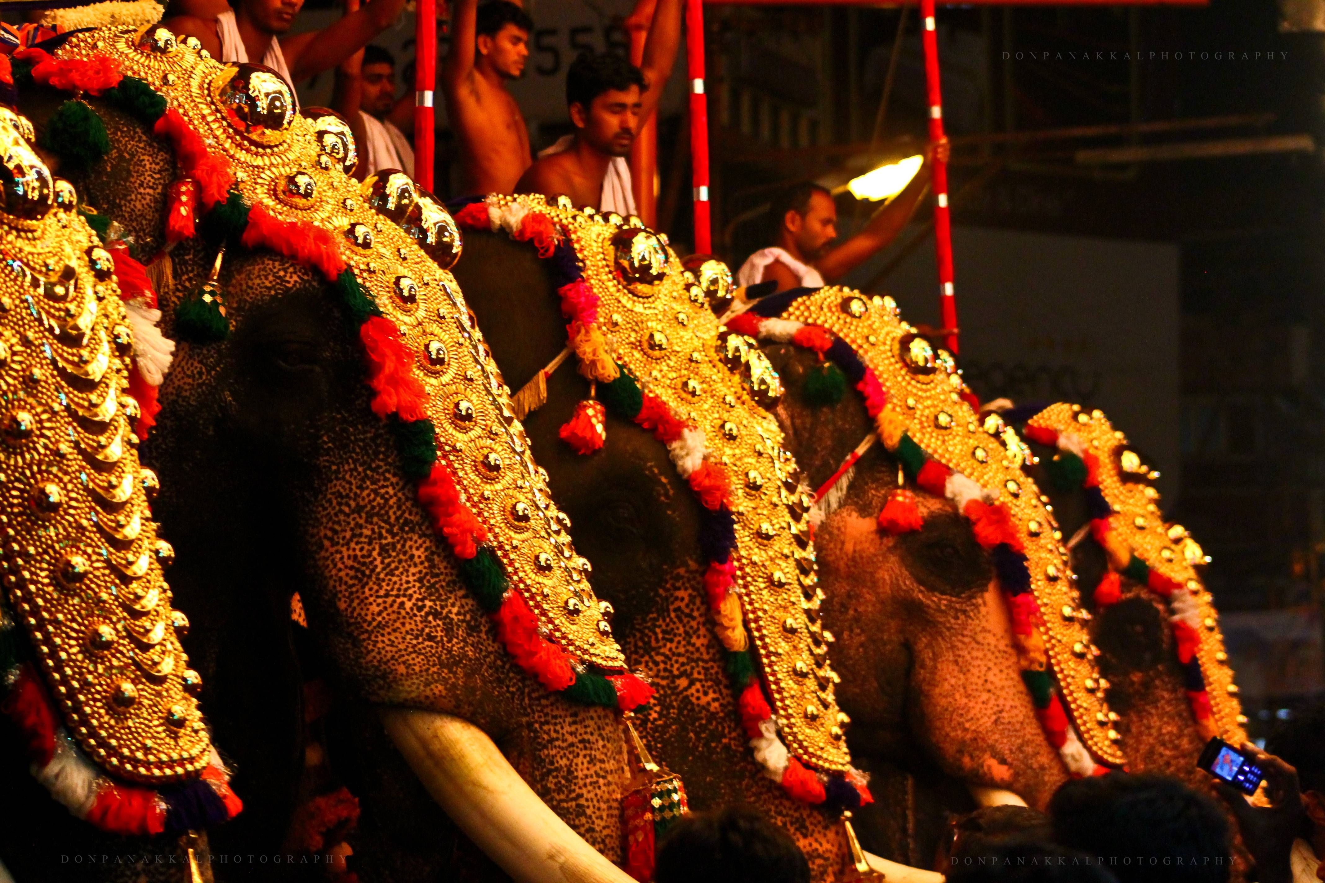 Thrissur Pooram Wallpapers - Wallpaper Cave