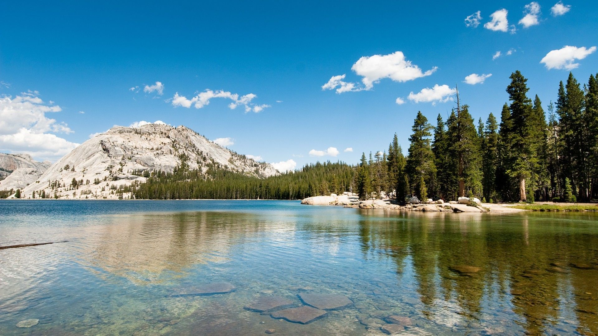 landscape, Nature, Lake, Hills, Forest, Pine Trees, Yosemite National Park, California Wallpaper HD / Desktop and Mobile Background